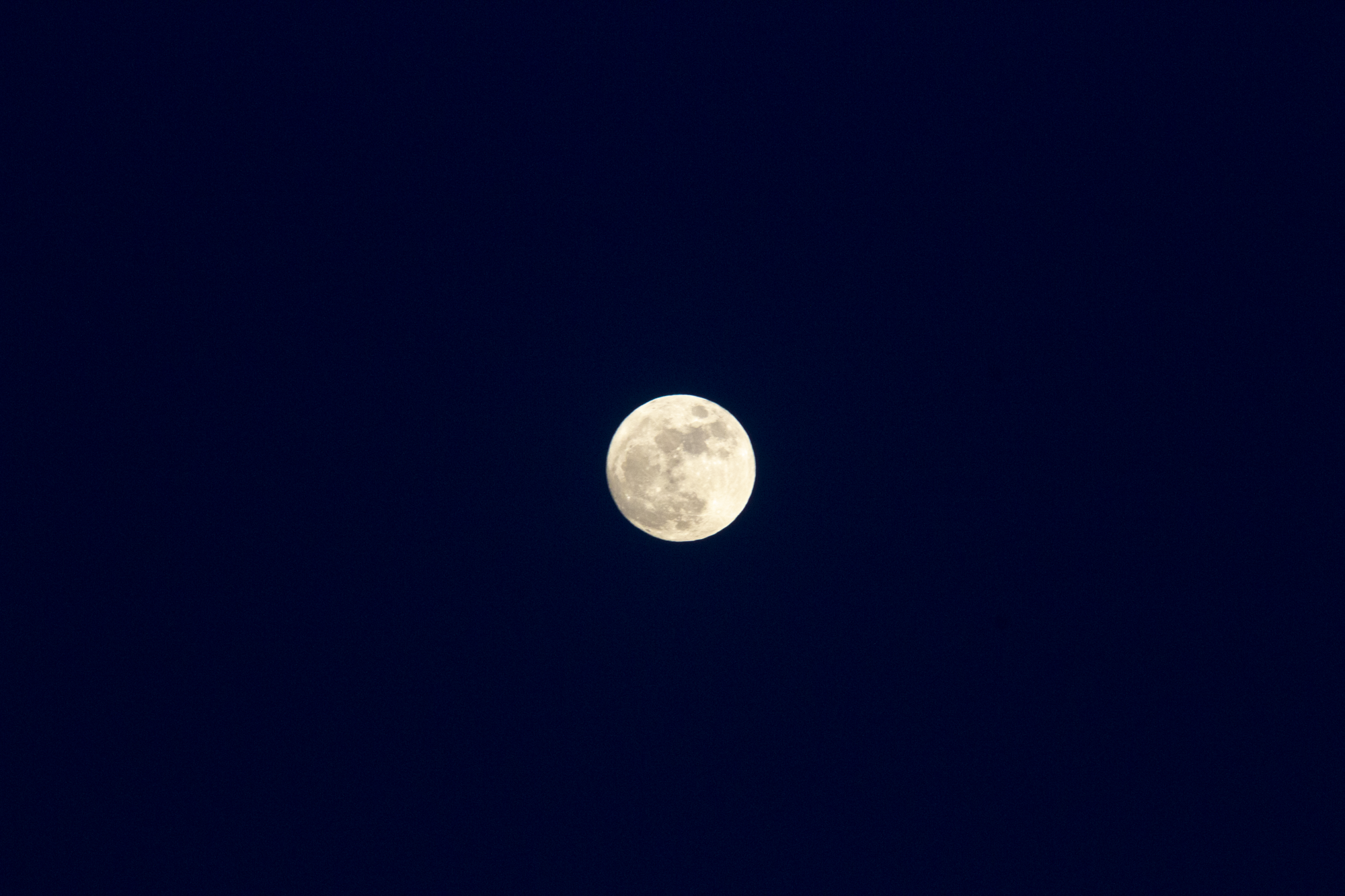 the moom-22 copy.png