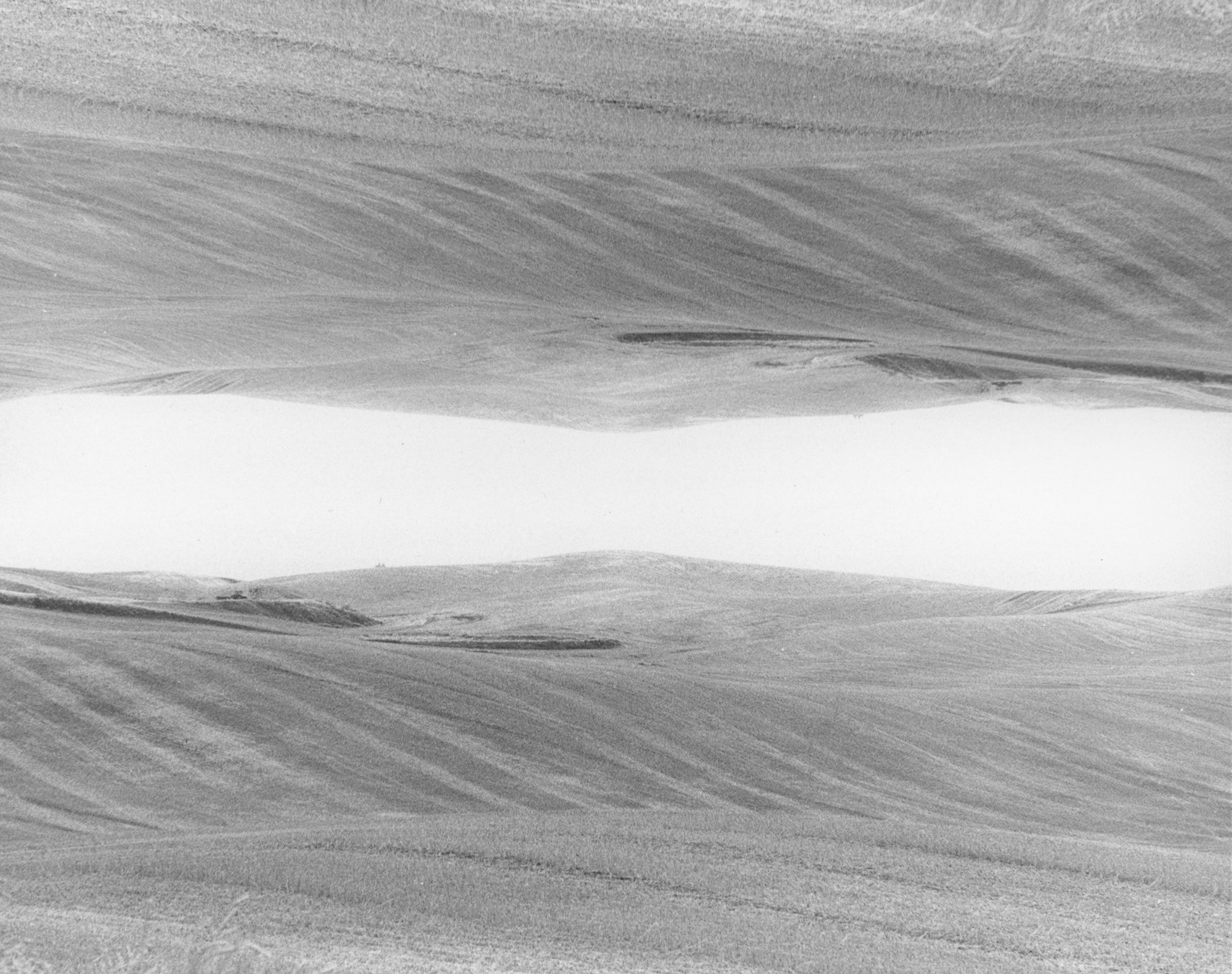 hills web.png