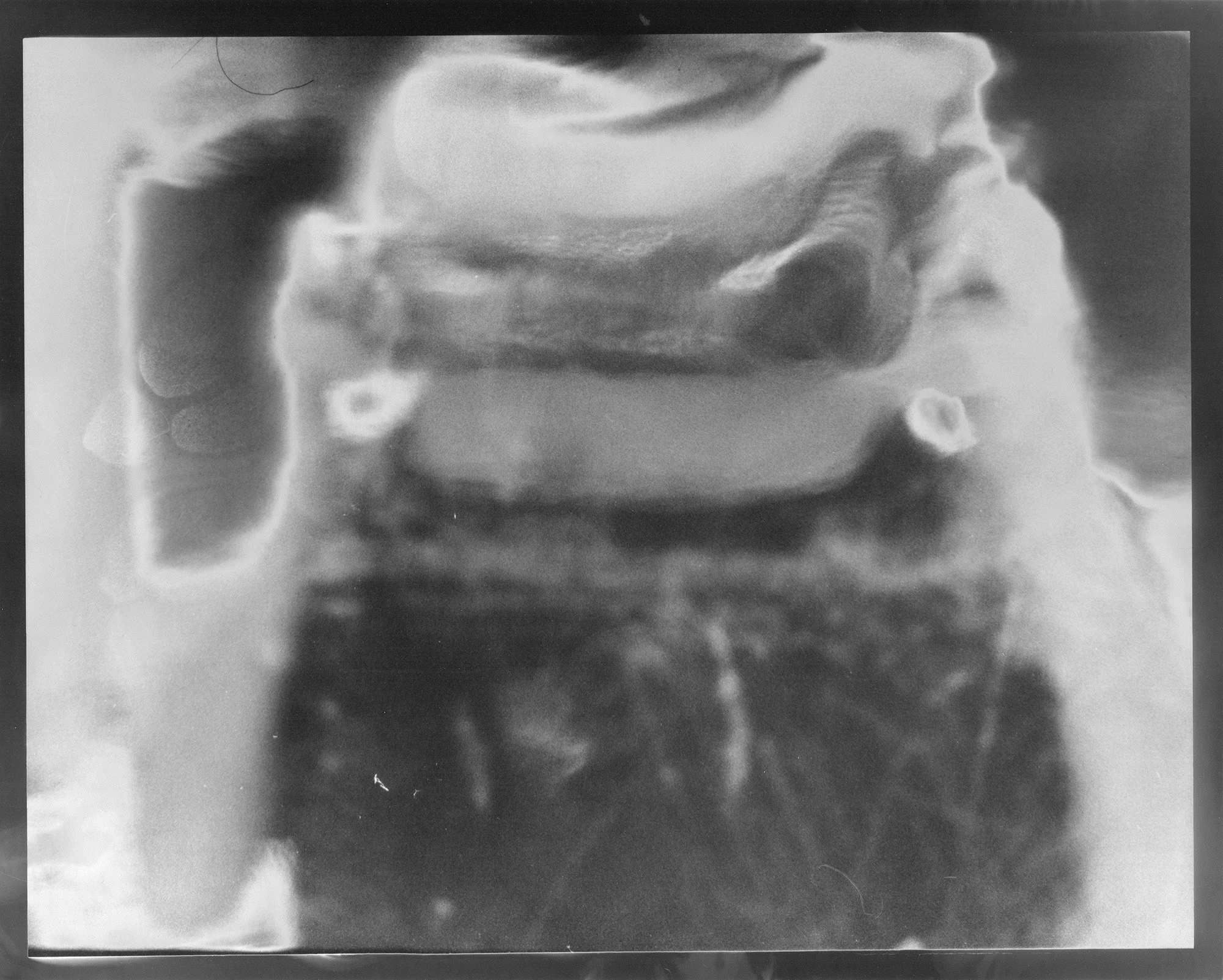 solarized 6 web.jpg