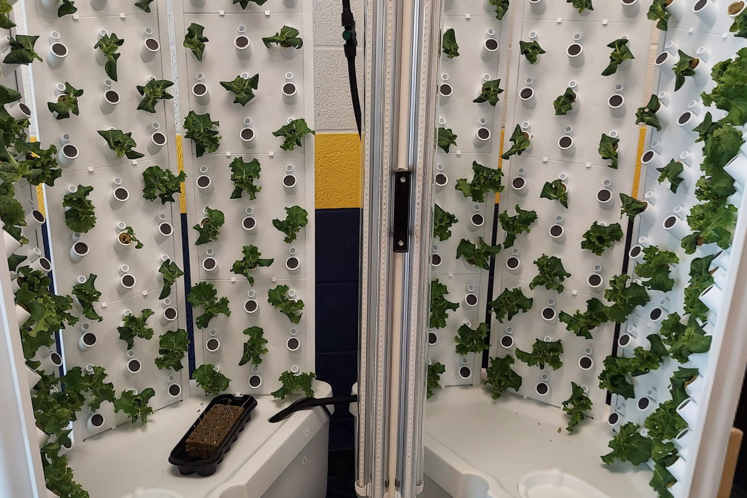 Building a Brighter Future