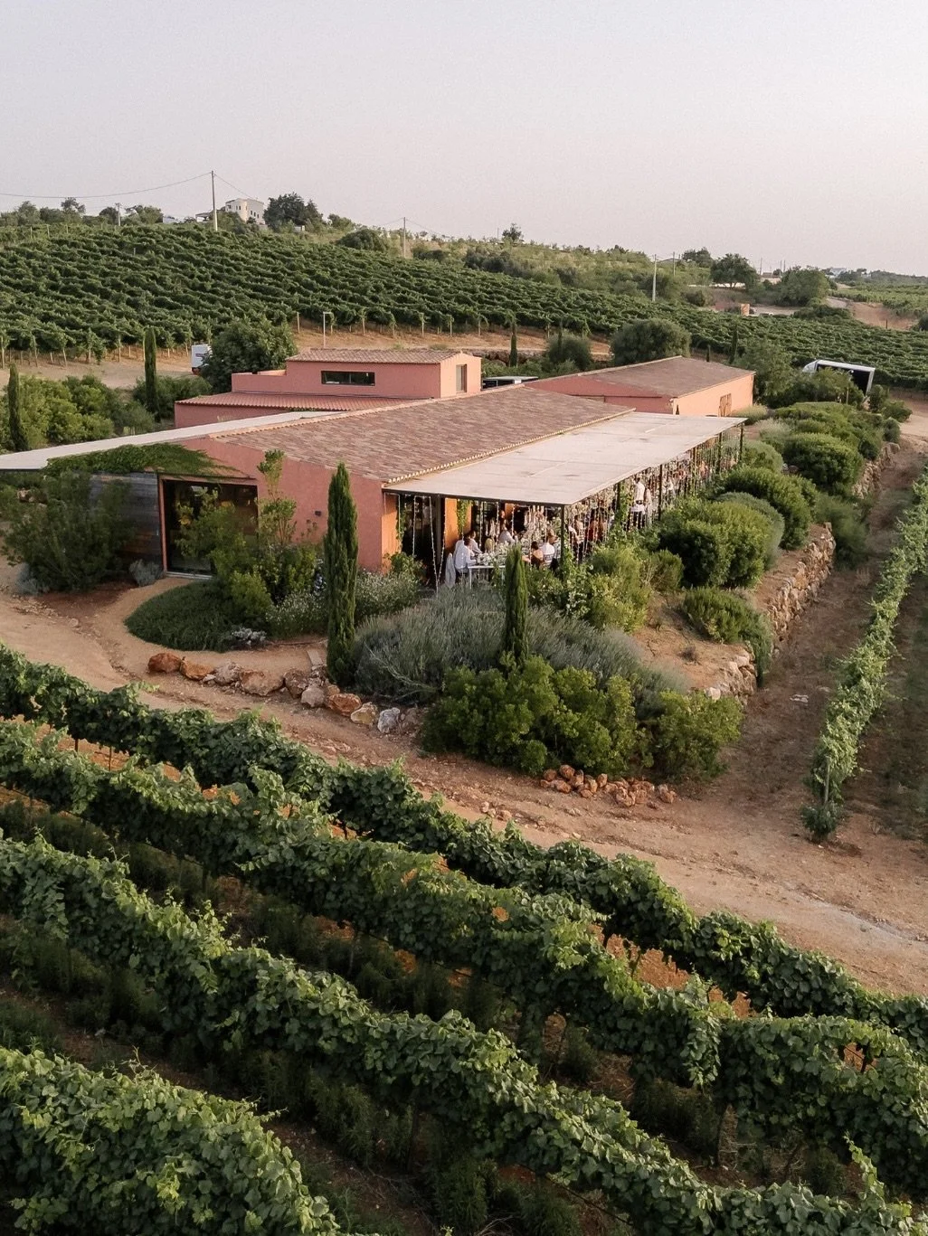 In between the vines.

Wedding Planners: @algarvedreamweddings
Decor/Styling: @claudia_mota_design
Venue: @arvad_wine
Photography &amp; video: @itsallabout.pt
Dresses: Martina Liana @essenseofaustralia
Bridal Stylist: Kate @weddingbelles_4oaks
Tux: @