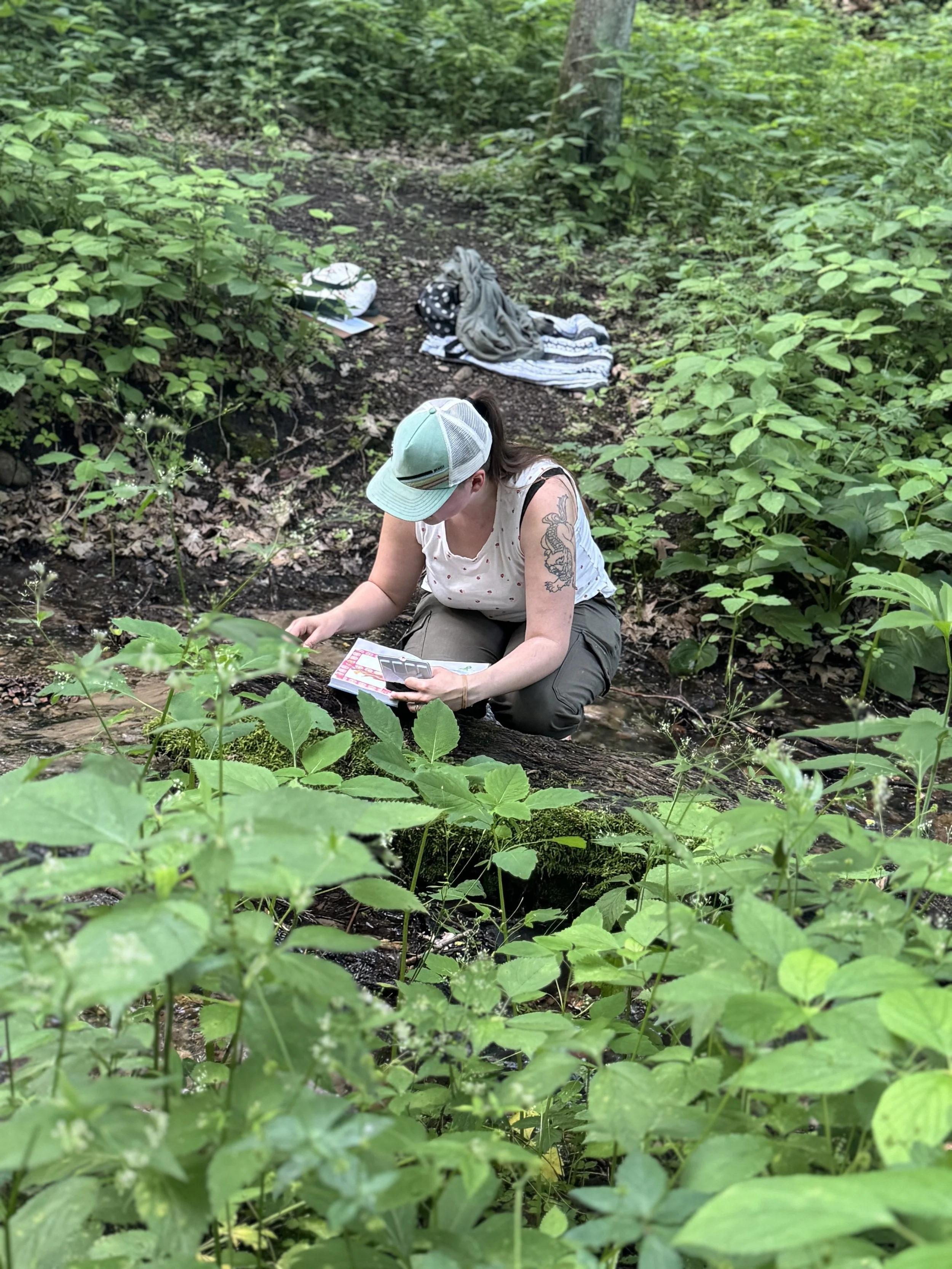 Field Notes - Summer 2.jpg