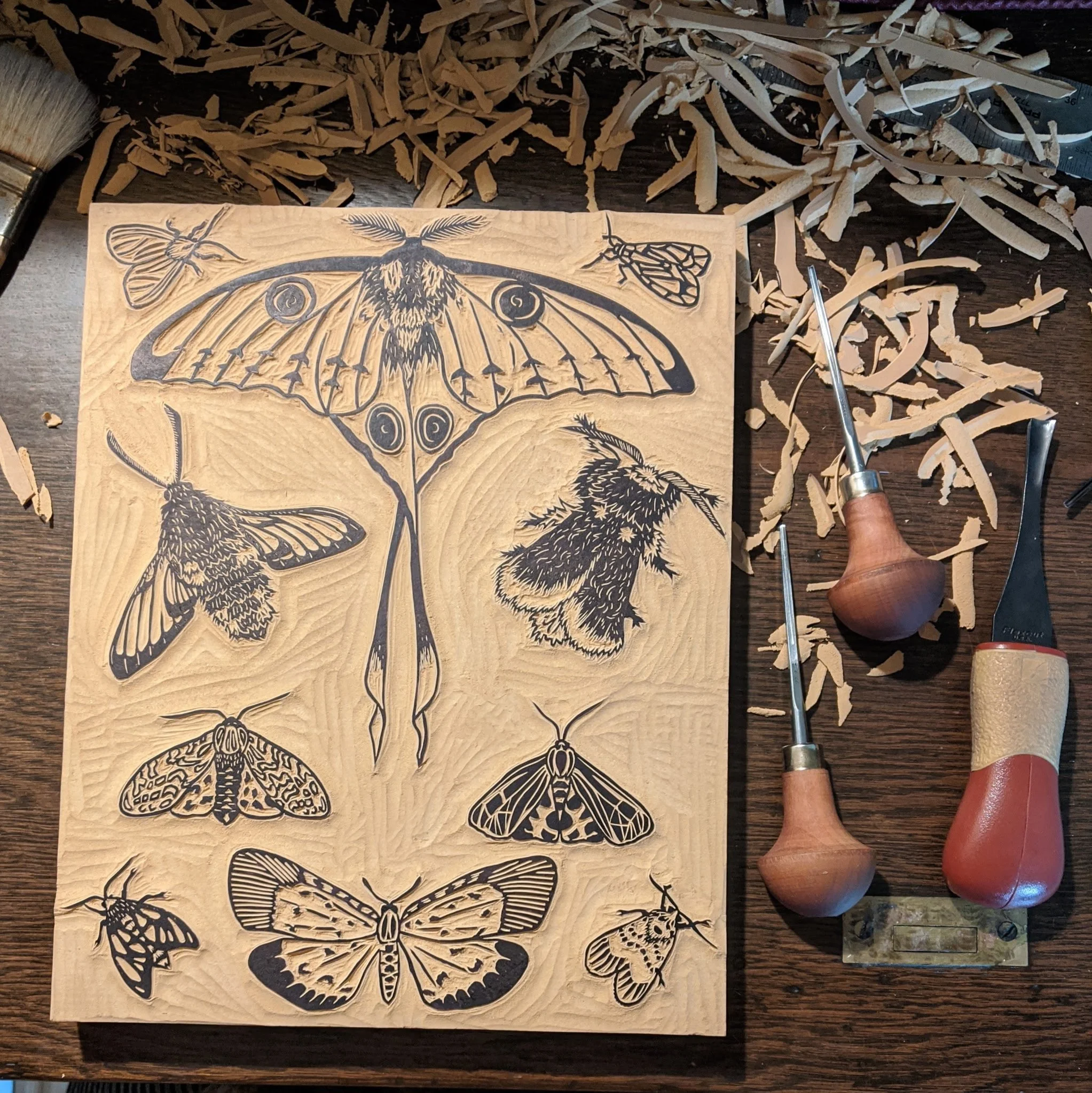 block carving of bugs