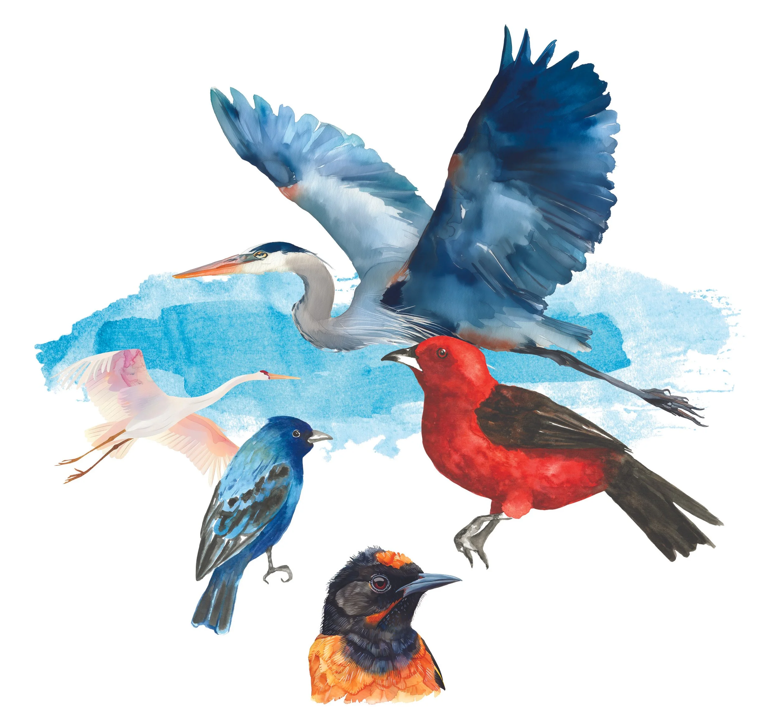 On The Wing: Mississippi Flyway - We Are Headed to Dubuque!