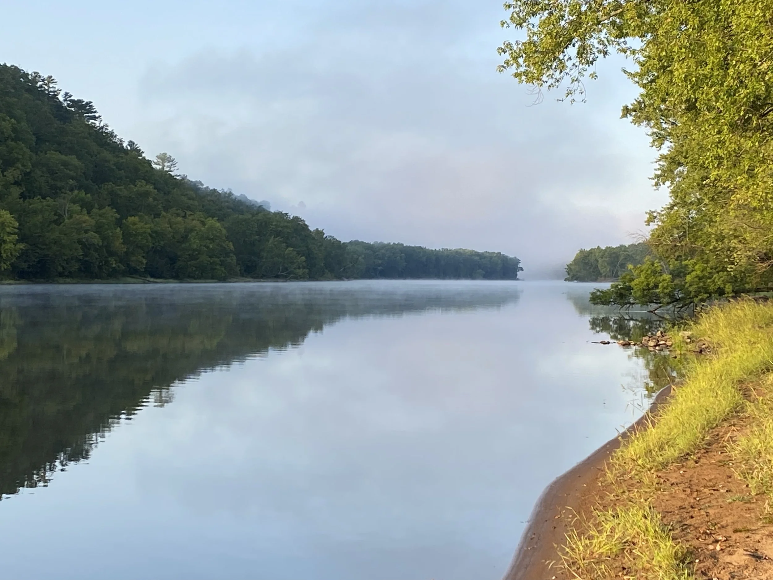 Field Notes: The Water's Edge