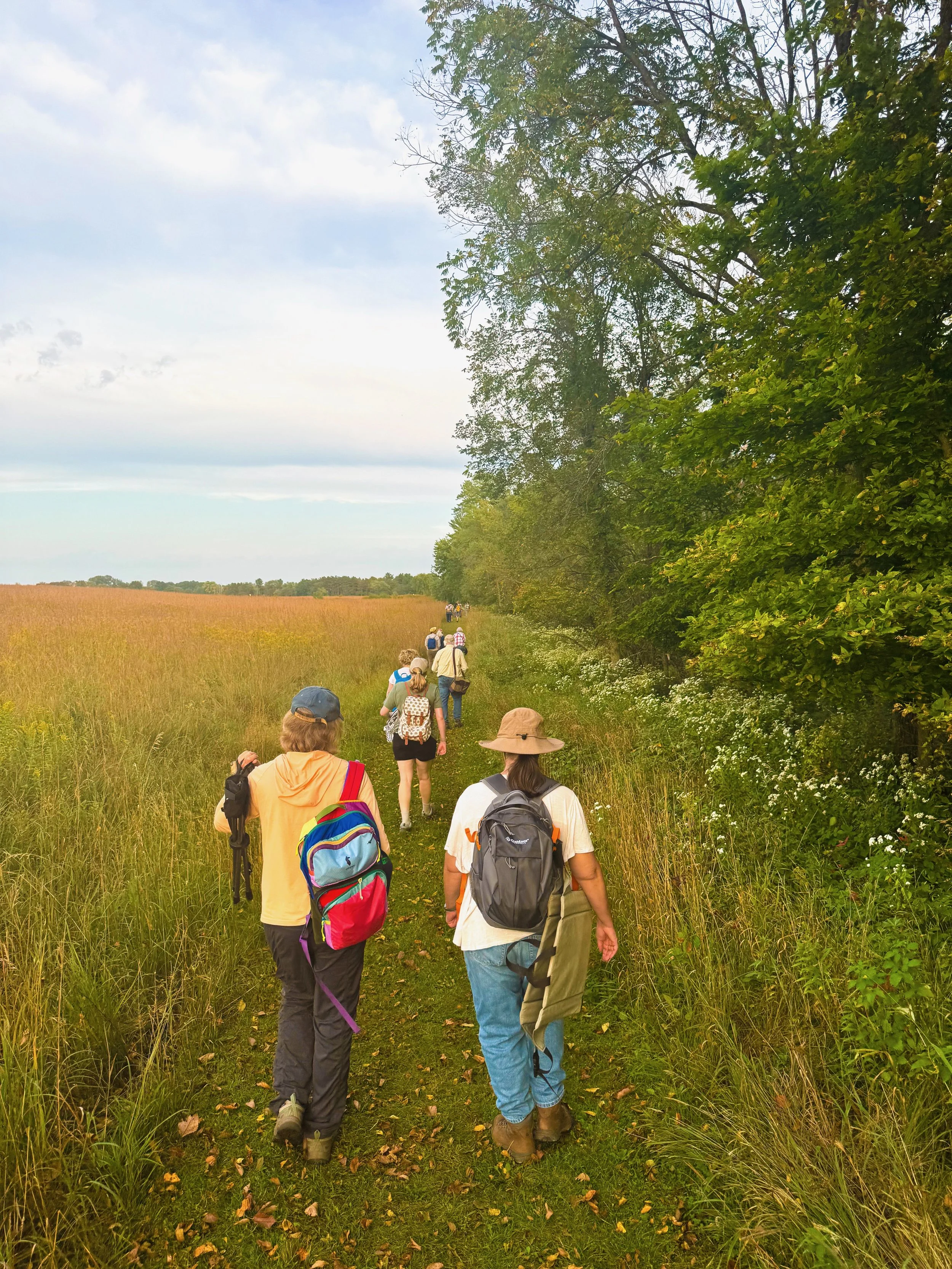 Field Notes: Autumn