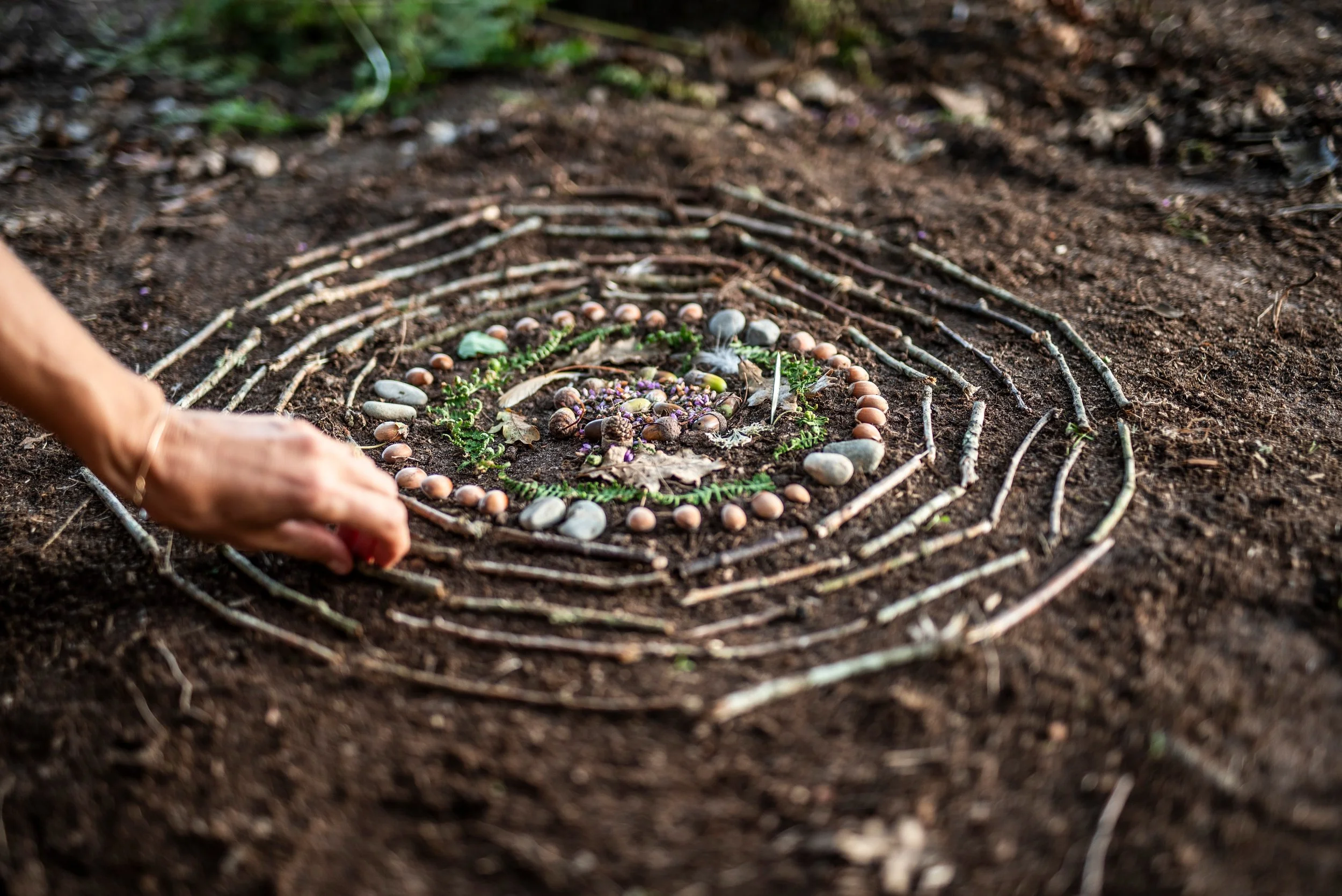 a circular design made on the ground with sticks and rocks