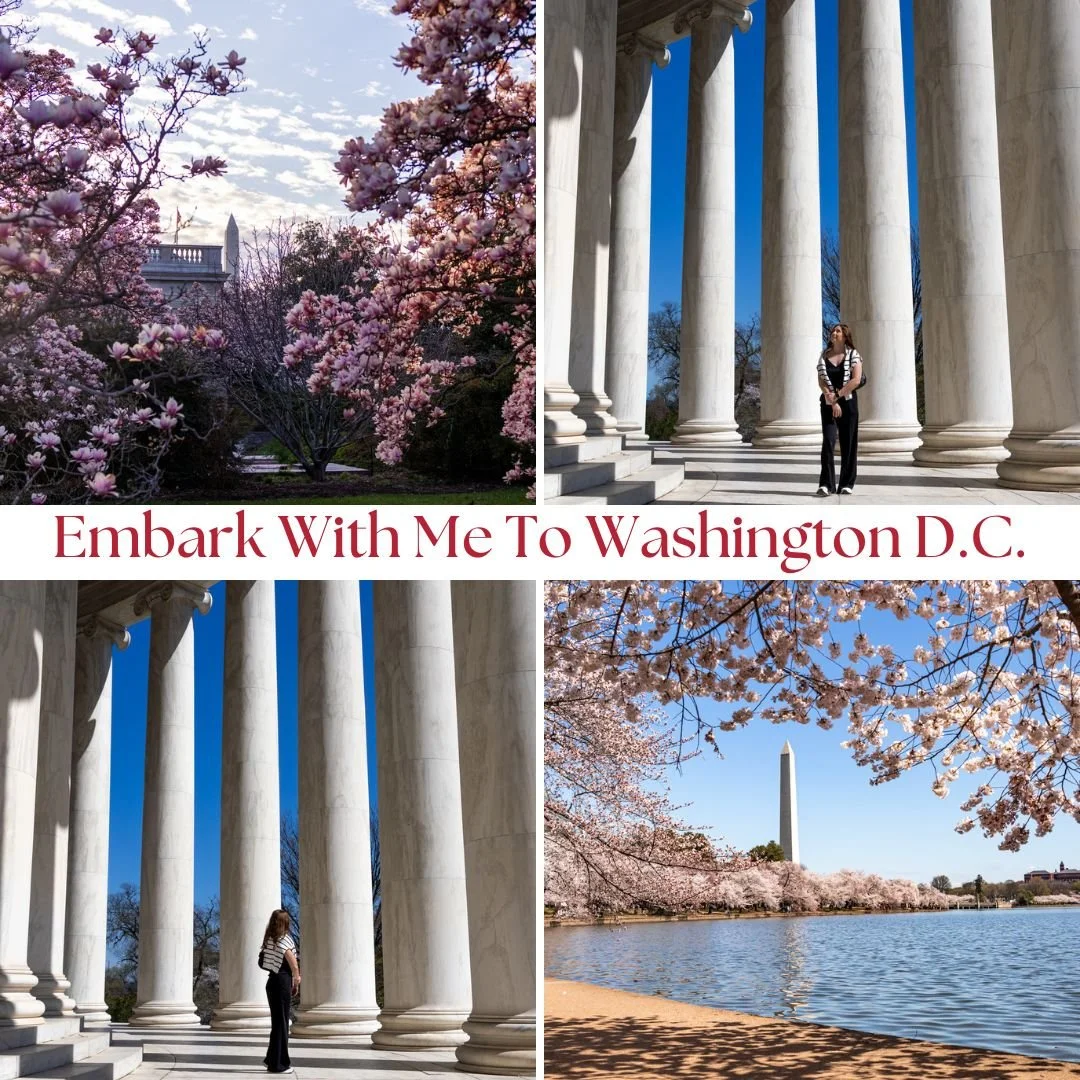 Cherry Blossom Season in The Capital