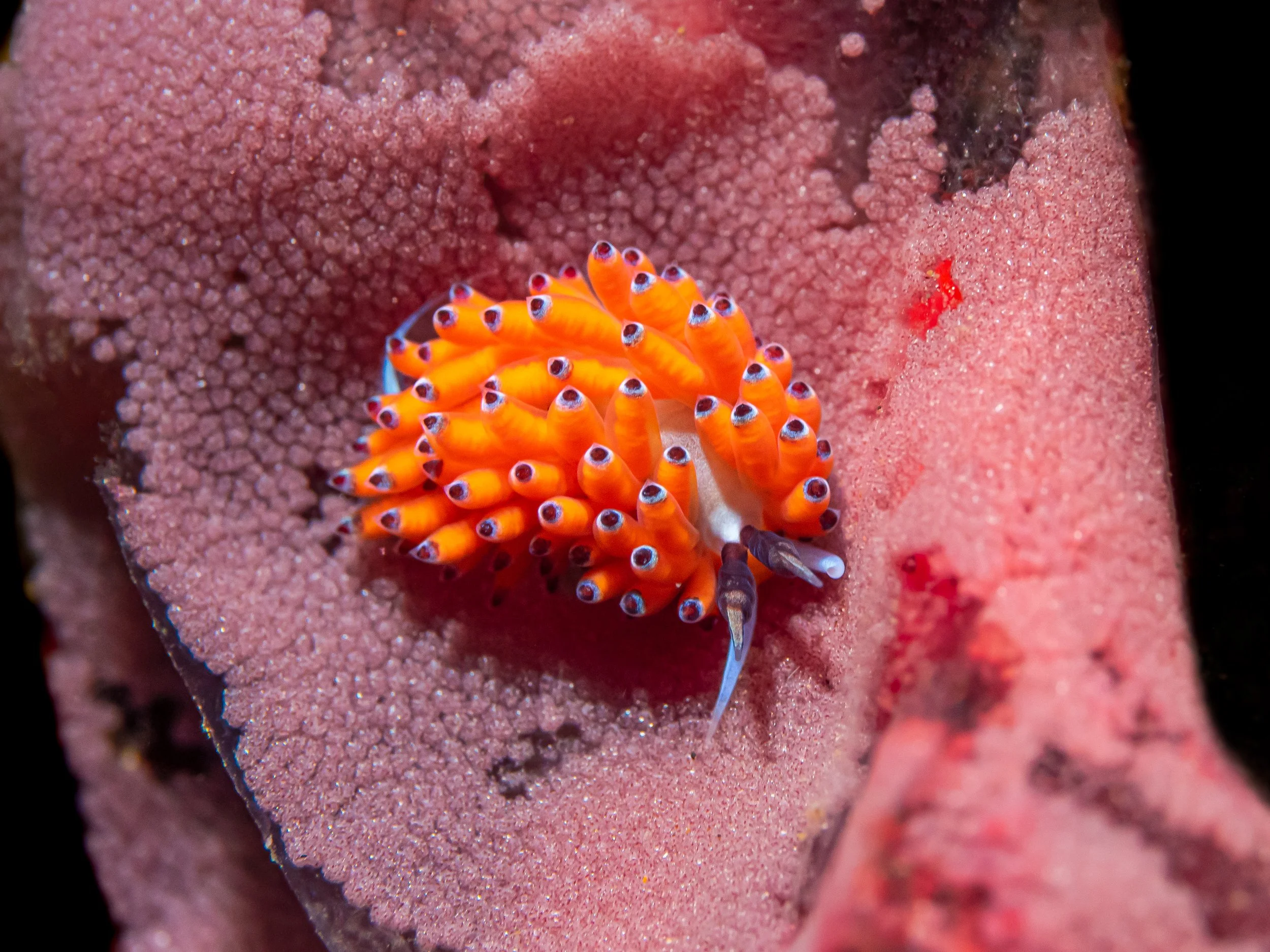 P2530627.jpg