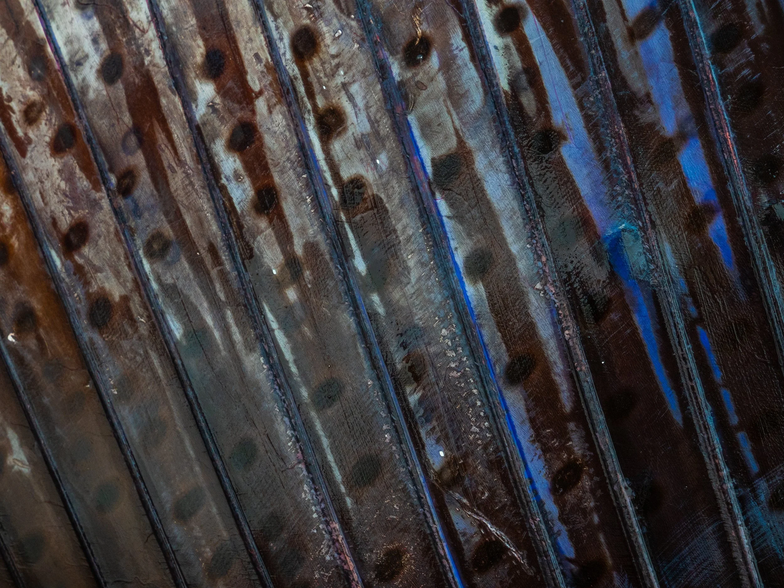 Sailfish fin.jpg