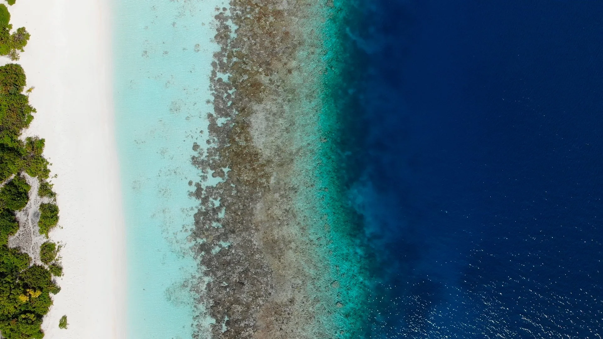 dron2.jpg