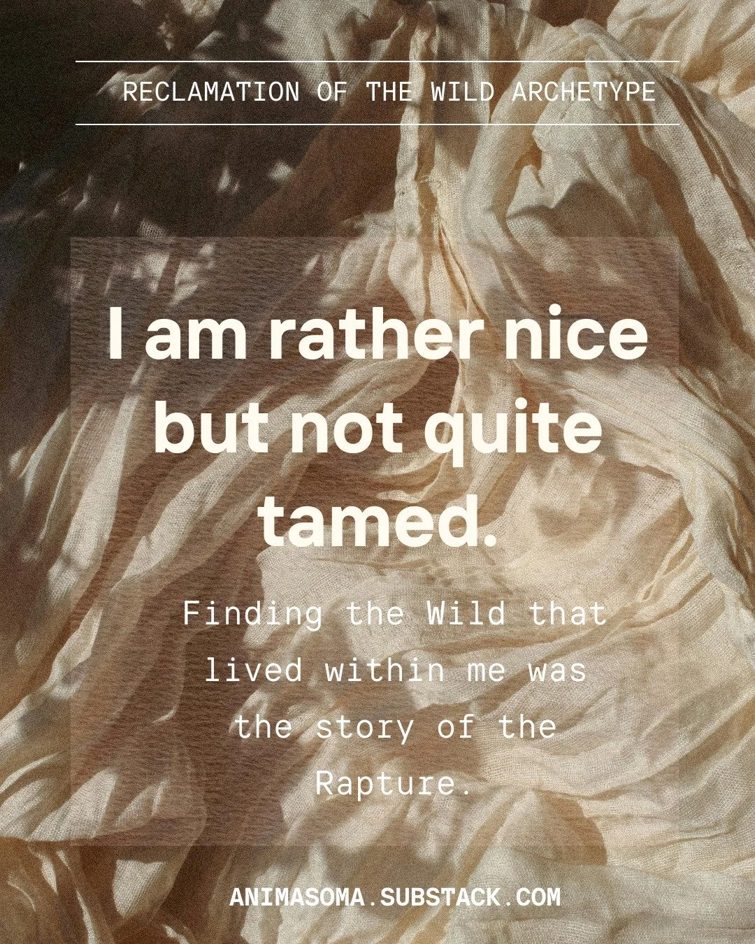 Sometimes the parts of you you call &ldquo;too much&rdquo; are the very parts that hold your life force.

The Wild doesn&rsquo;t disappear.
It waits.
In the body.
In desire.
In the grief of the life you didn&rsquo;t let yourself live.
In the instinct