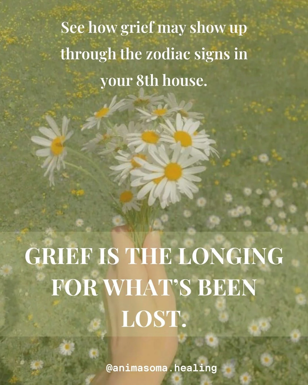 Grief moves differently through every body.

Some parts of us want to fight it. Some want to explain it. Some want to disappear into it.

But grief isn&rsquo;t here to be solved. It&rsquo;s here to be felt, witnessed, and slowly moved through the bod