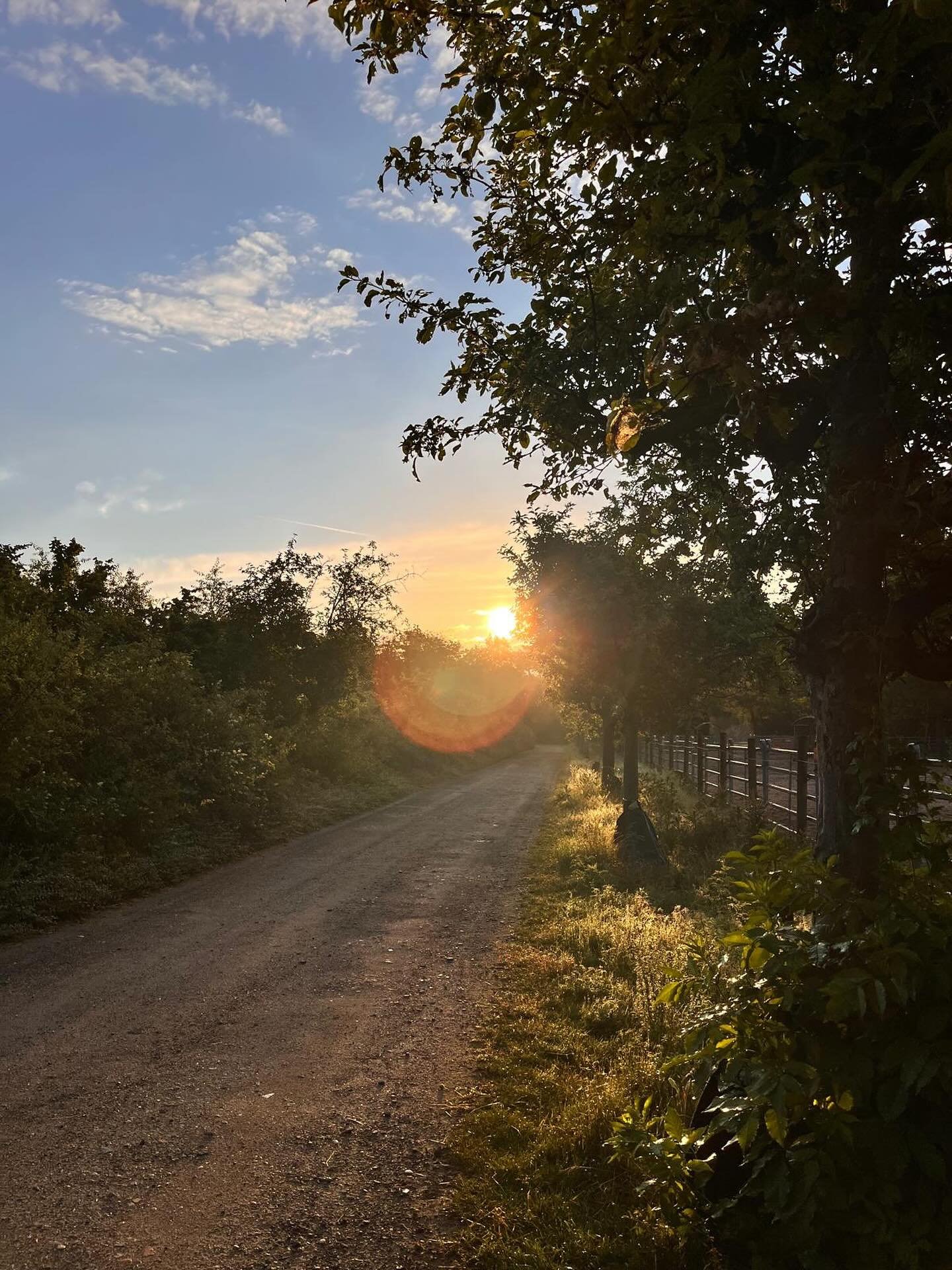 Abendstimmung in Oggersheim ☀️
#sonnenuntergang #sommer #abendsonne #ludwigshafen #nofilter #reiterhofkinderhilfe