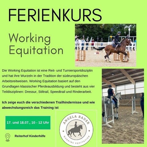 Working Equitation Ferienkurs