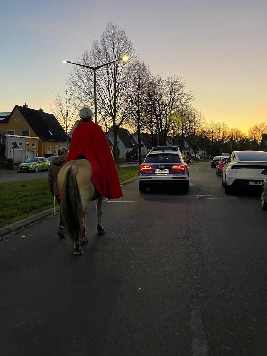 Ein weiteres Jahr St. Martin ist vor&uuml;ber. Dieses Jahr hatten wir 5 Eins&auml;tze &uuml;ber mehrere Tage verteilt. Neben unserem erfahrenen Amadeus war dieses Jahr das erste Mal Melvin mit dabei. Mit seinen 4 Jahren hat er die Umz&uuml;ge gemeist
