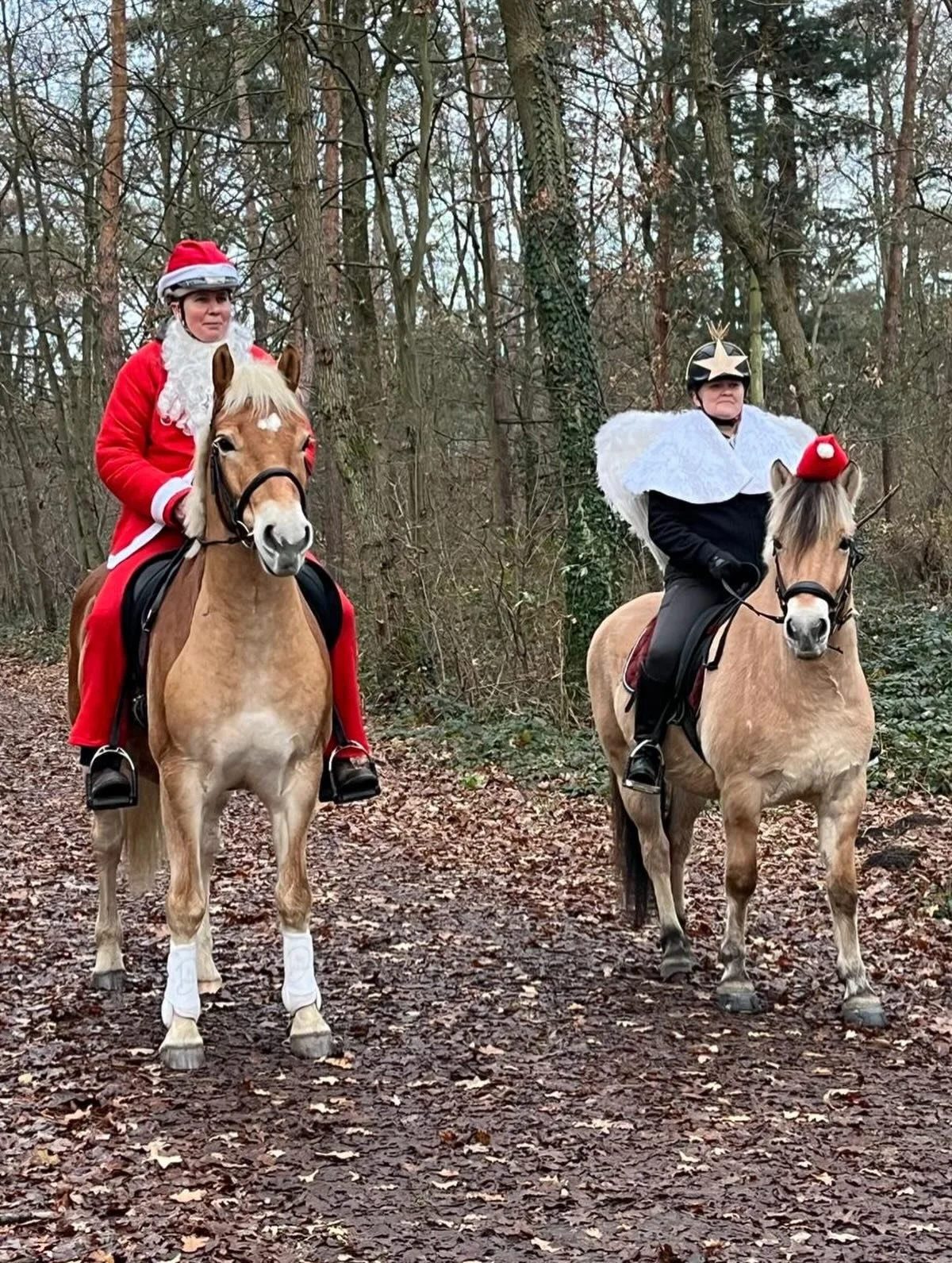 Gestern waren Melvin und Moriarty als Nikolausbesuch auf dem Waldweihnachtsmarkt des @behlerhaisl. Die Kinder durften die Pferde streicheln und waren sichtlich gl&uuml;cklich &uuml;ber den Besuch. 
 Wir freuen uns schon auf n&auml;chstes Jahr! 🎅🏻
#