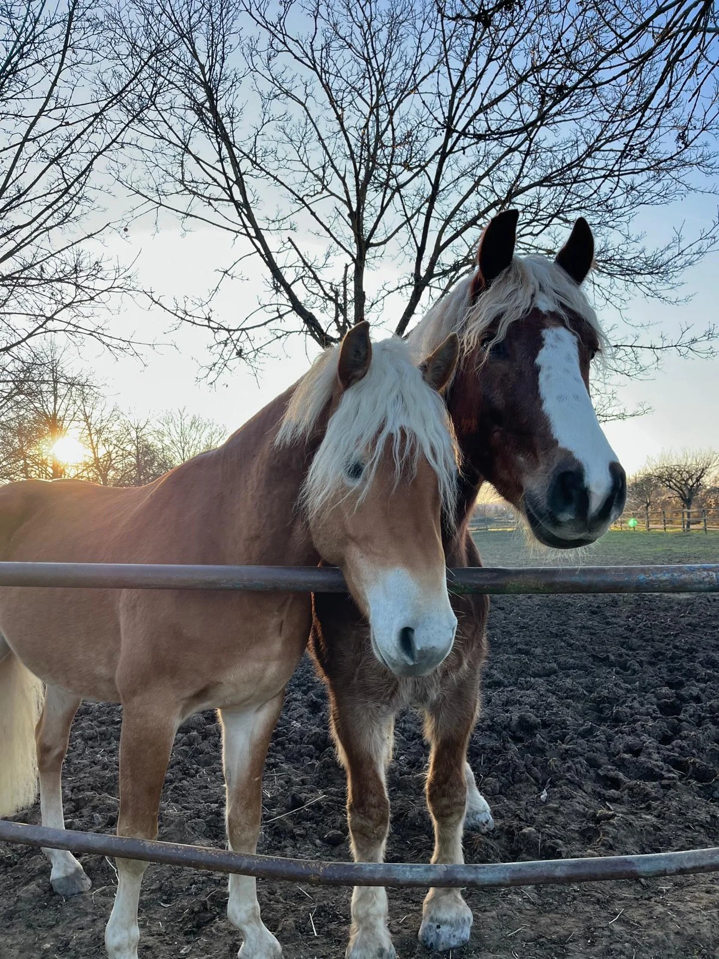 Wir w&uuml;nschen euch allen einen guten Start ins neue Jahr 2026 ✨