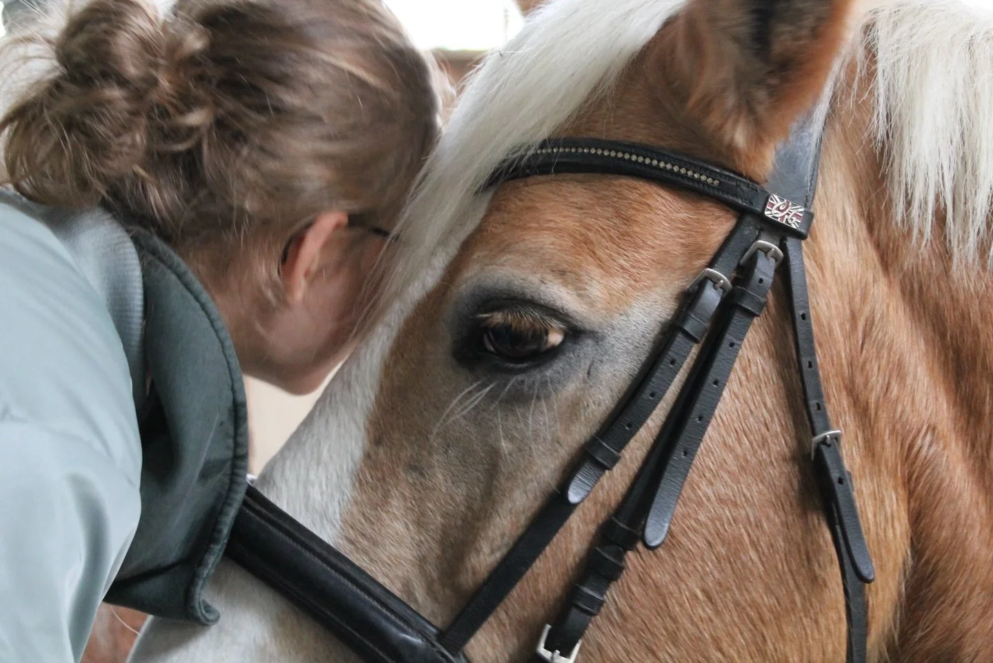 Im Zuge der Hippotherapie bekommen die Patient*innen nicht nur Zeit auf dem Pferd. Kuscheln, streicheln und f&uuml;ttern geh&ouml;rt genauso dazu. Hier genie&szlig;en viele die N&auml;he zu unseren Pferden, was das Vertrauen st&auml;rkt und auch einf