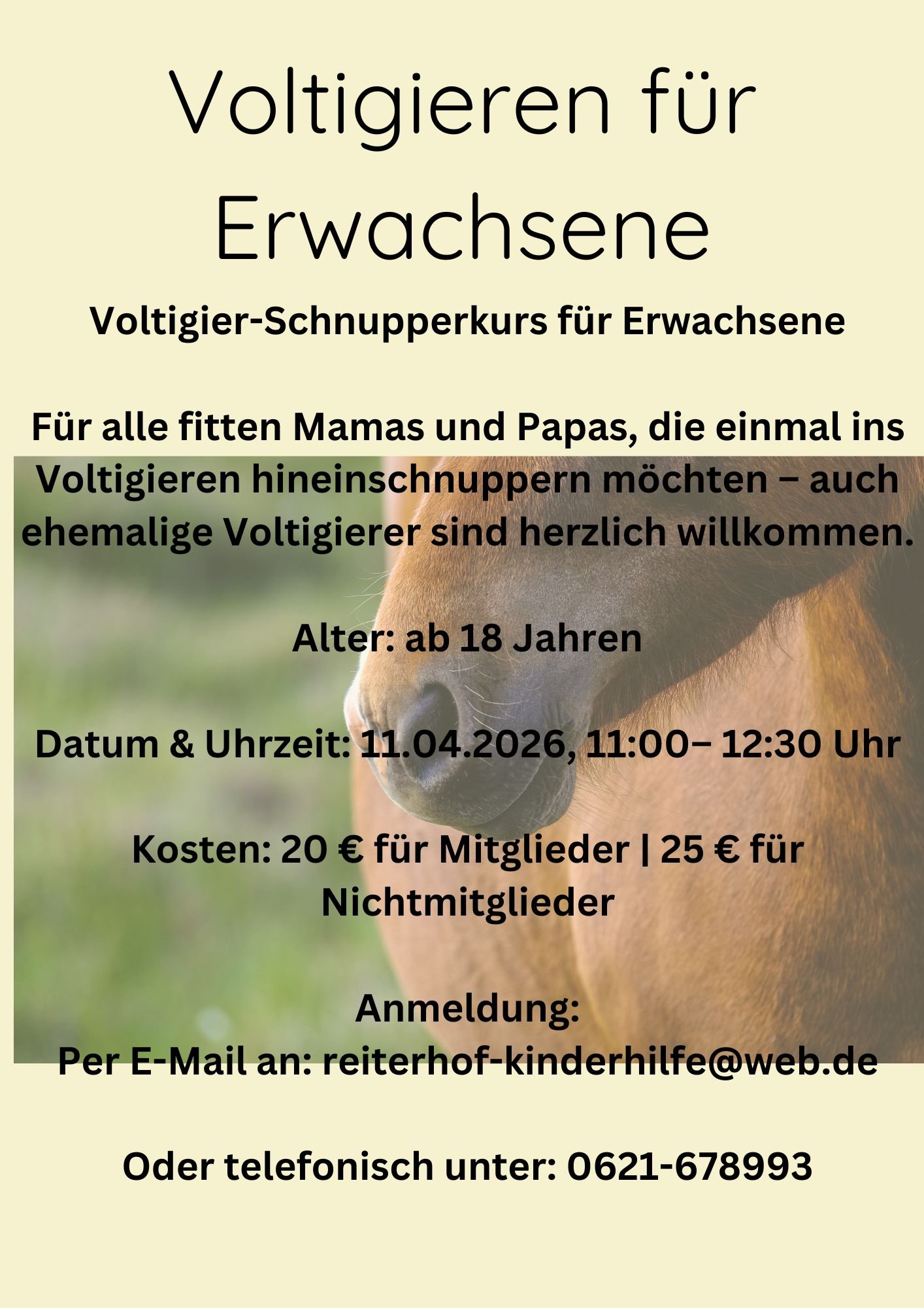 Voltigieren für Erwachsene