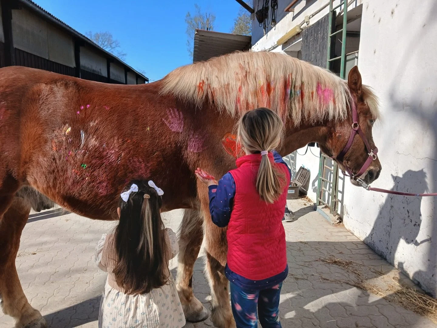 Gestern fand wieder ein Ferienkurs bei uns statt. F&uuml;r die Kinder ist es etwas ganz besonderes die Pferde bemalen zu d&uuml;rfen. Unsere Vierbeiner genie&szlig;en die Aufmerksamkeit und die Ergebnisse k&ouml;nnen sich wirklich sehen lassen! 🫟🎨
