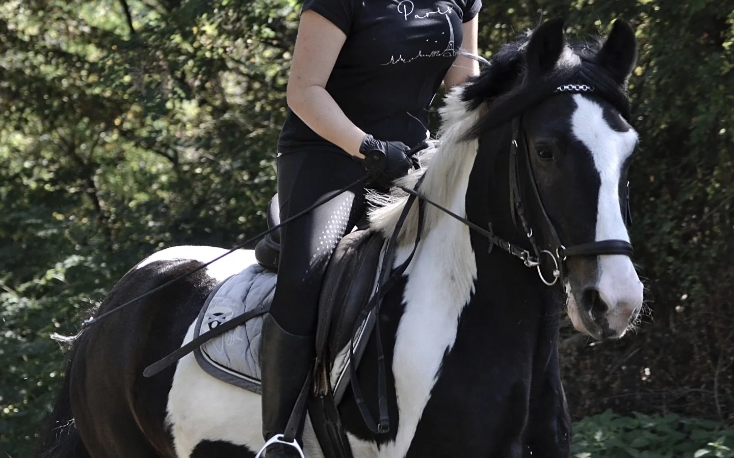 Momentan haben wir freie Pl&auml;tze in unseren Fortgeschrittenen- Reitstunden zu vergeben.
Voraussetzung hierf&uuml;r ist das sichere Reiten in den drei Grundgangarten.

Bei Interesse und f&uuml;r weitere Infos bitte eine E-Mail an reiterhof-kinderh