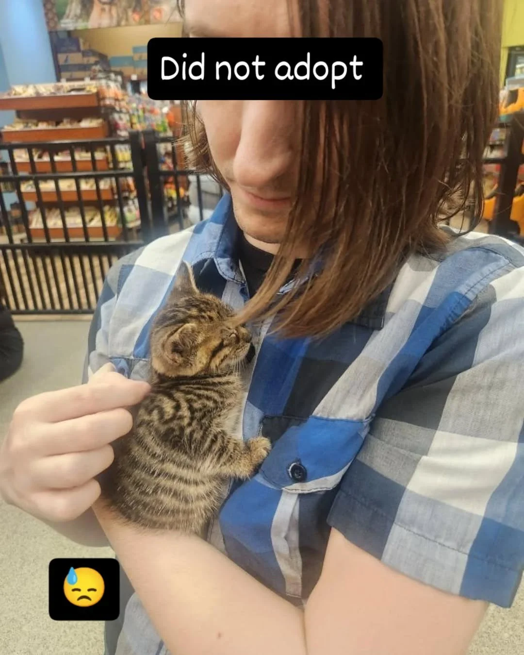 The PFE near our Safeway does frequent adoption events. We didn't get any more cats, but we were very tempted to get a 3rd boy. 
#cats
