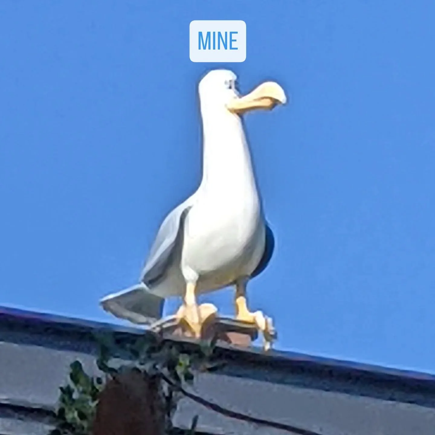 I found a statue I hadn't seen before over at @pixar studios while driving through Emeryville.