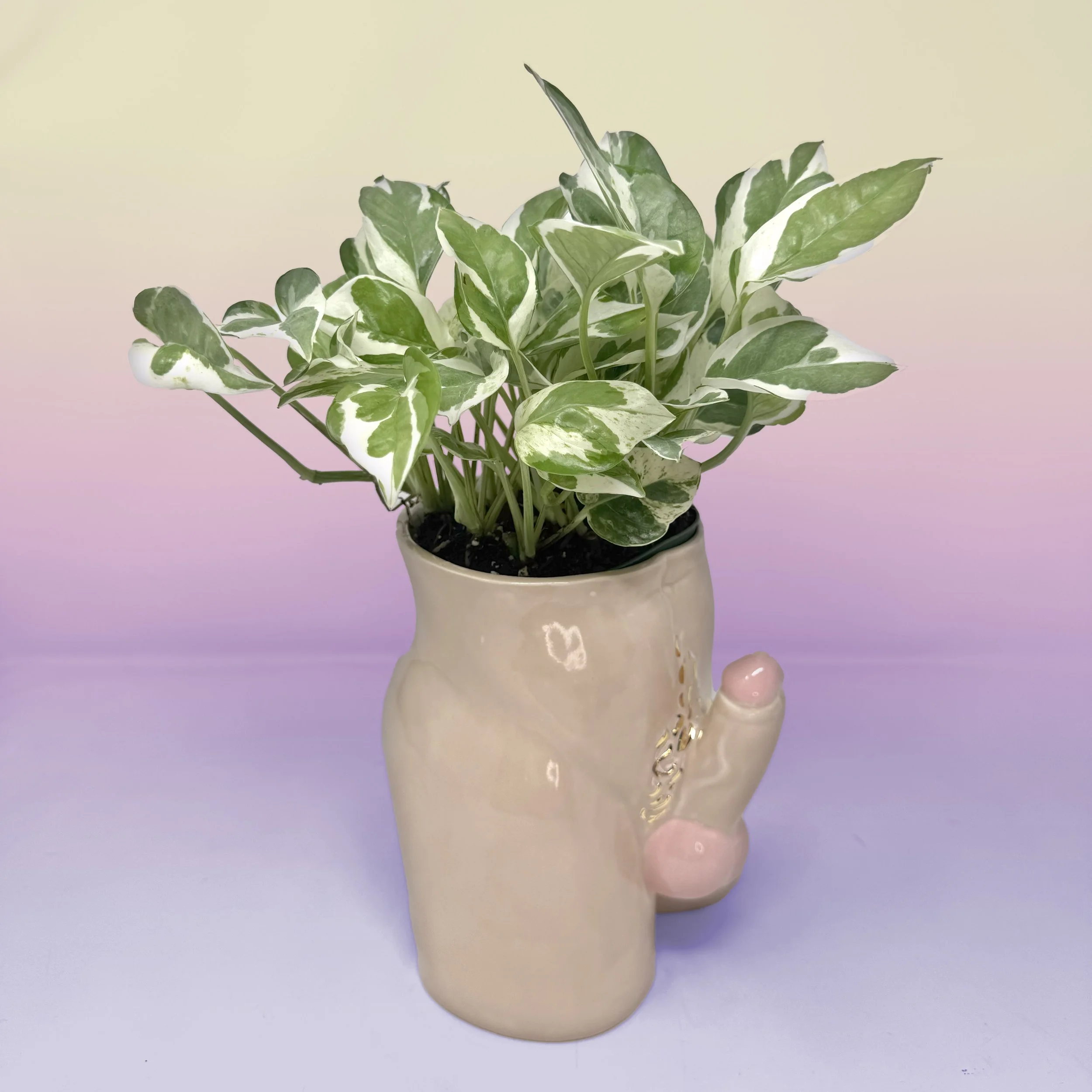 Boner Planters Flesh 2 Side copy.jpg