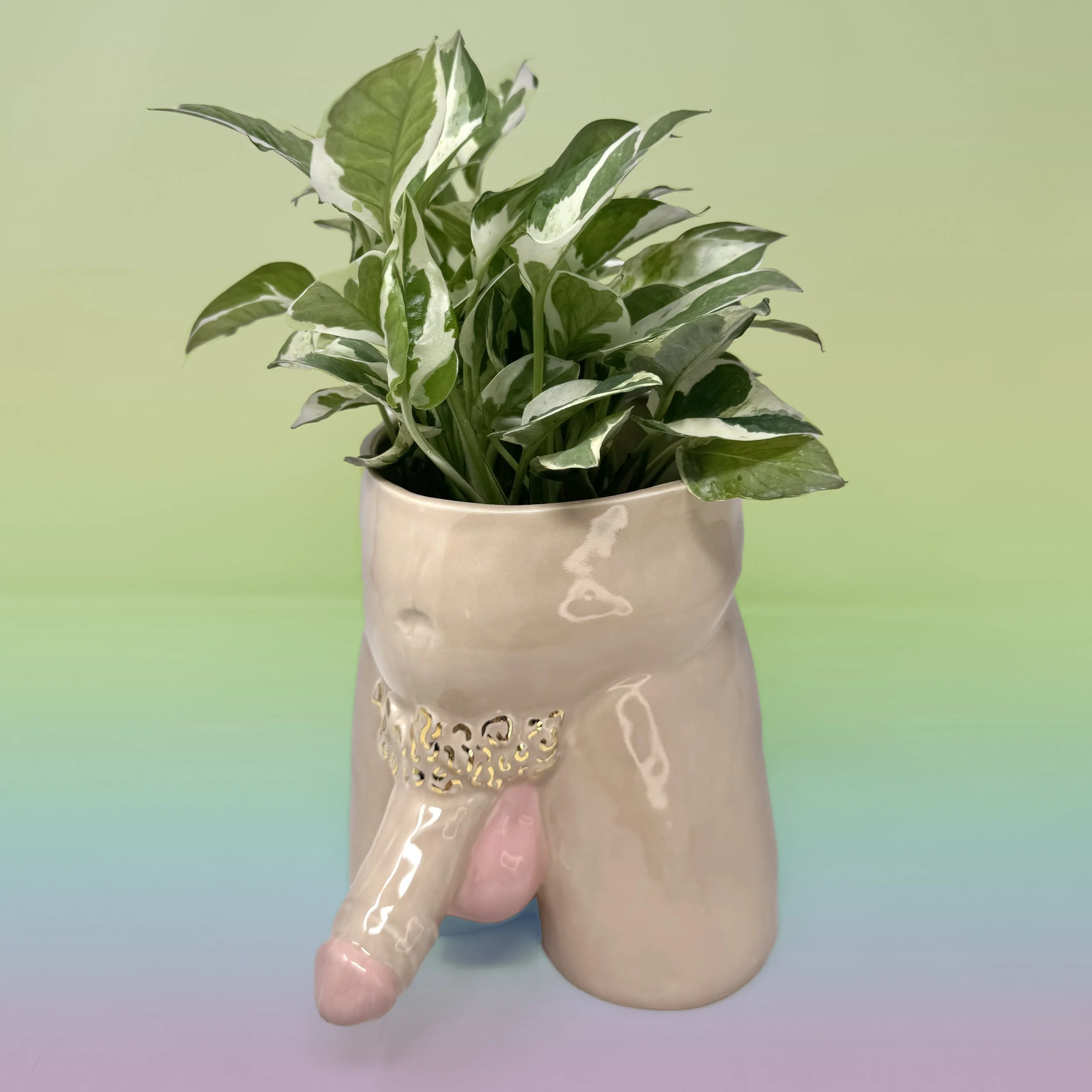 Boner Planters DickDown 2 copy.jpg
