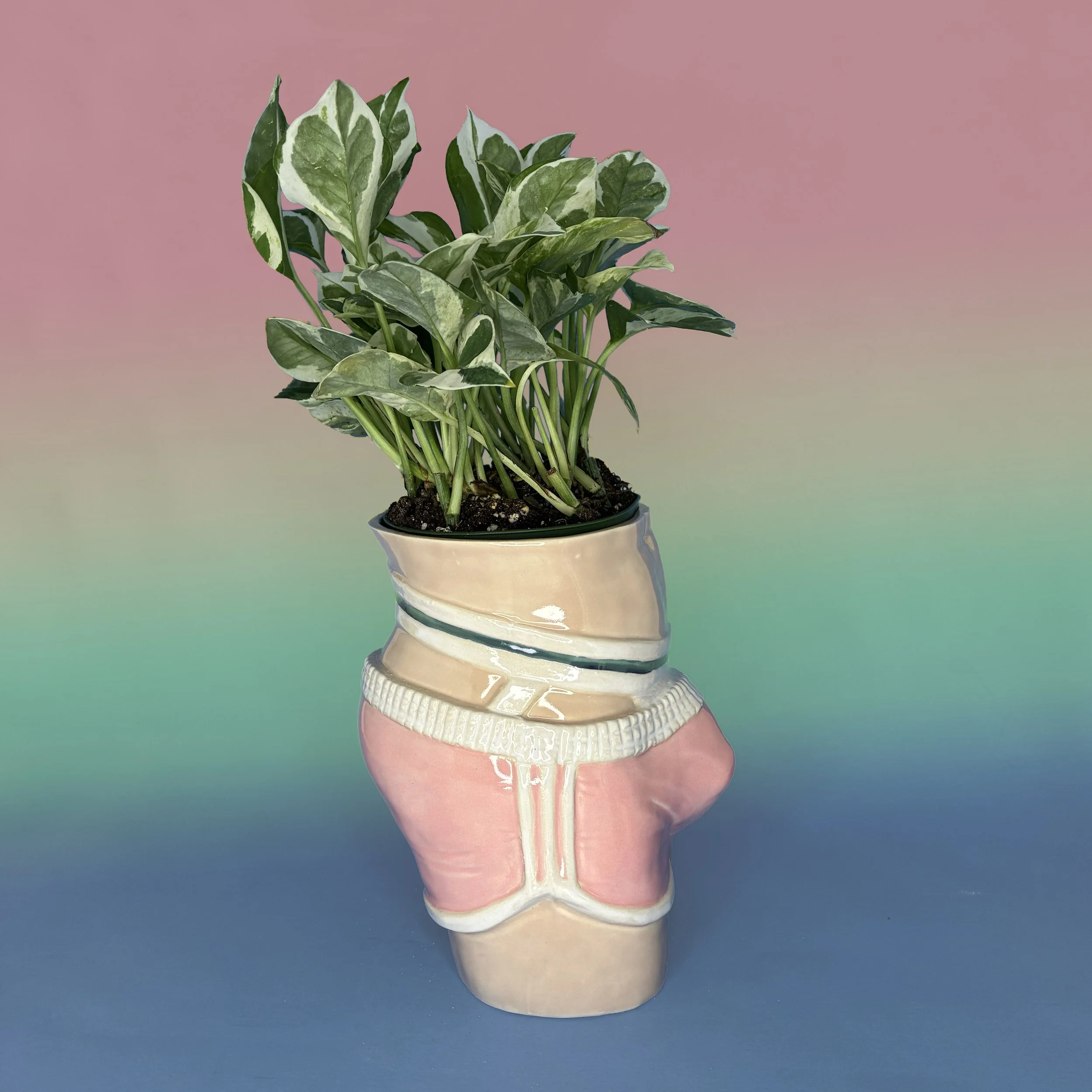 JockPlanter Pink Shorts 2 copy.jpg