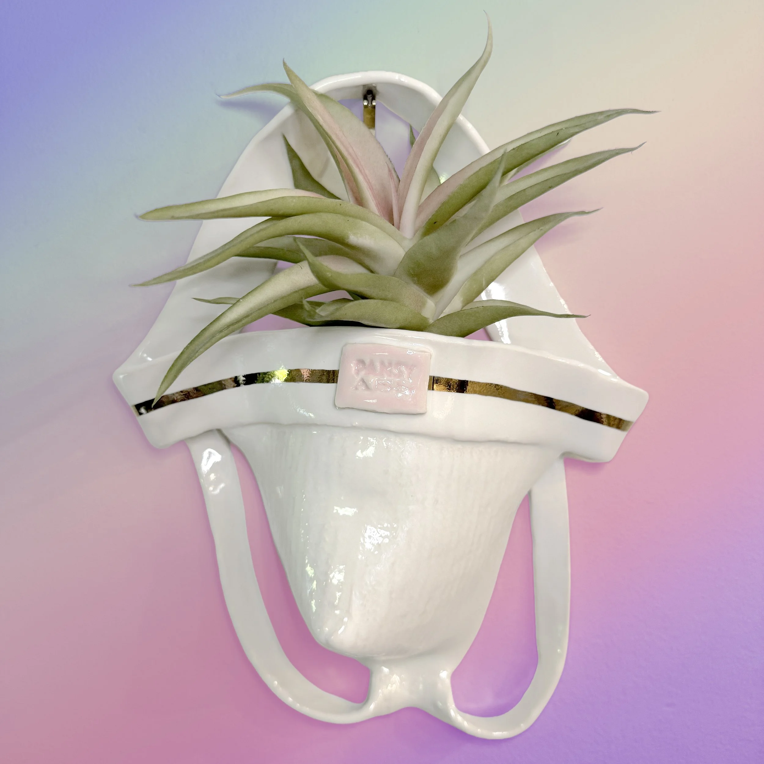 Wall-Hanging Used Jock Planter with 22Kt Gold