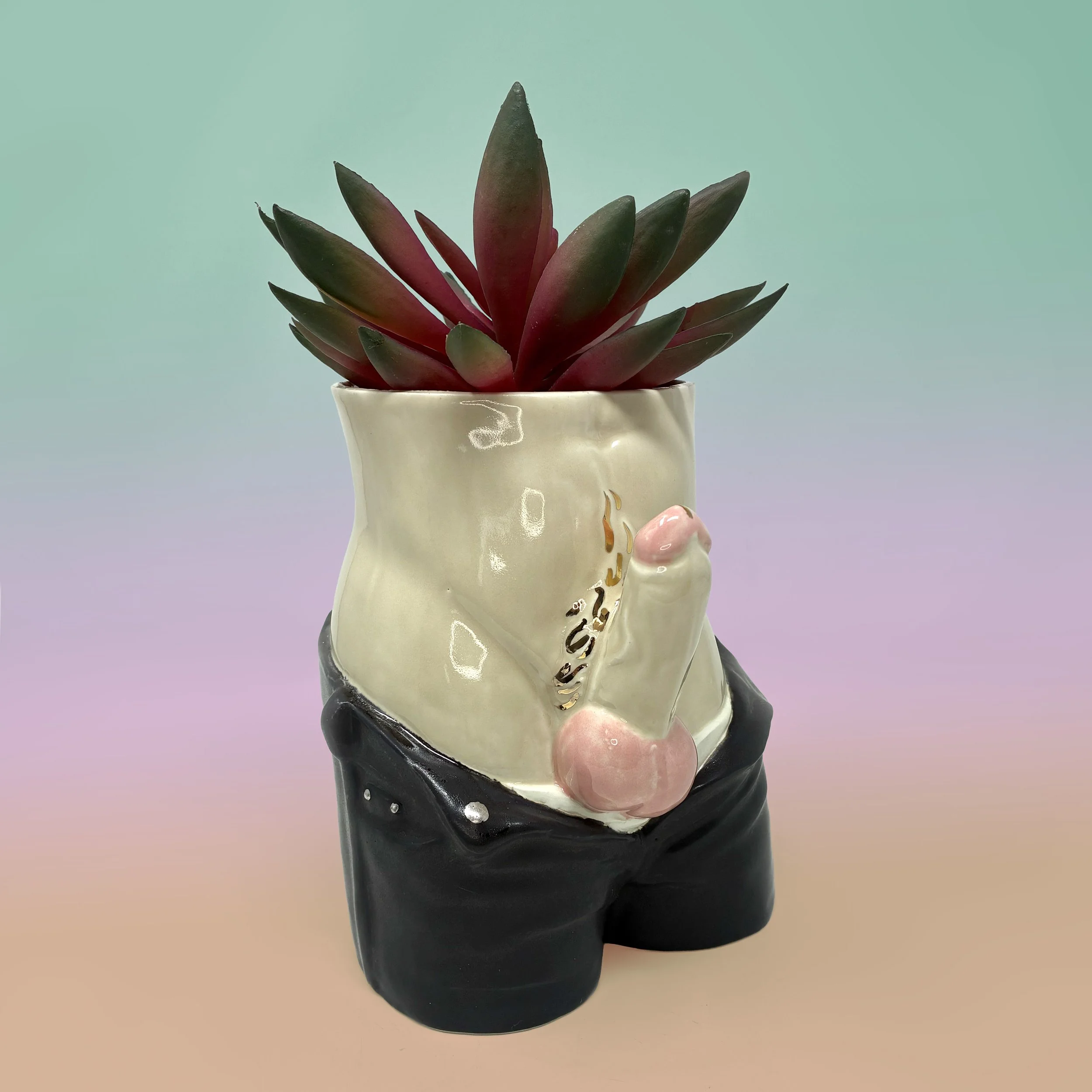 Balls Out Trouser Planters Lighter 2 copy.jpg