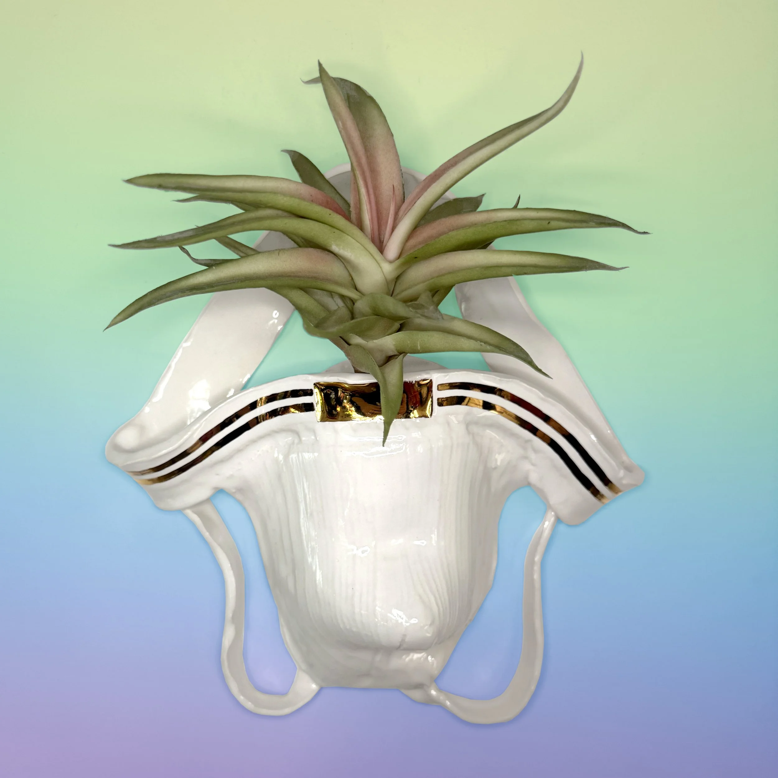 Wall-Hanging Used Jockstrap Planter with 22Kt Gold