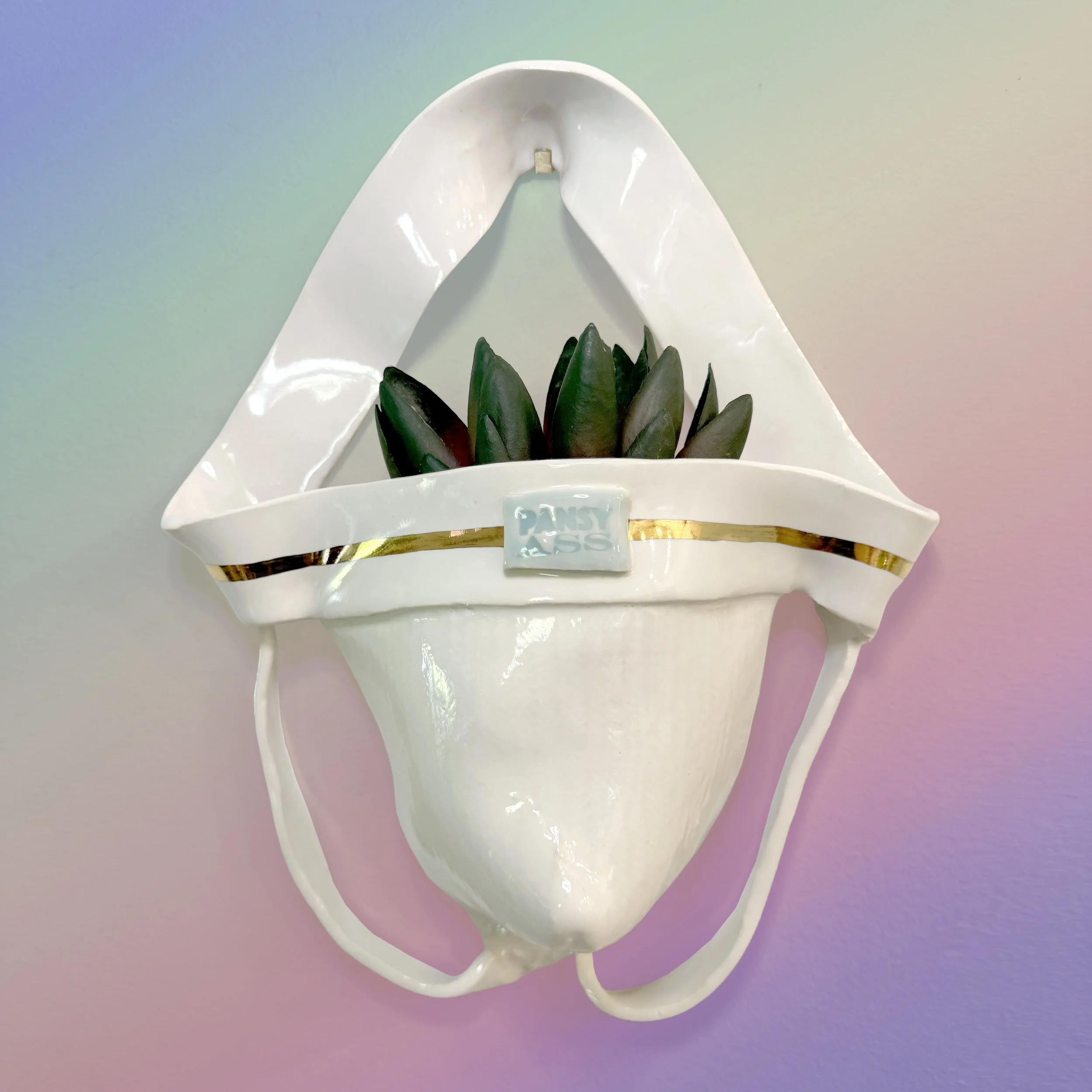 Jockstrap Planter Blue Logo copy.jpg