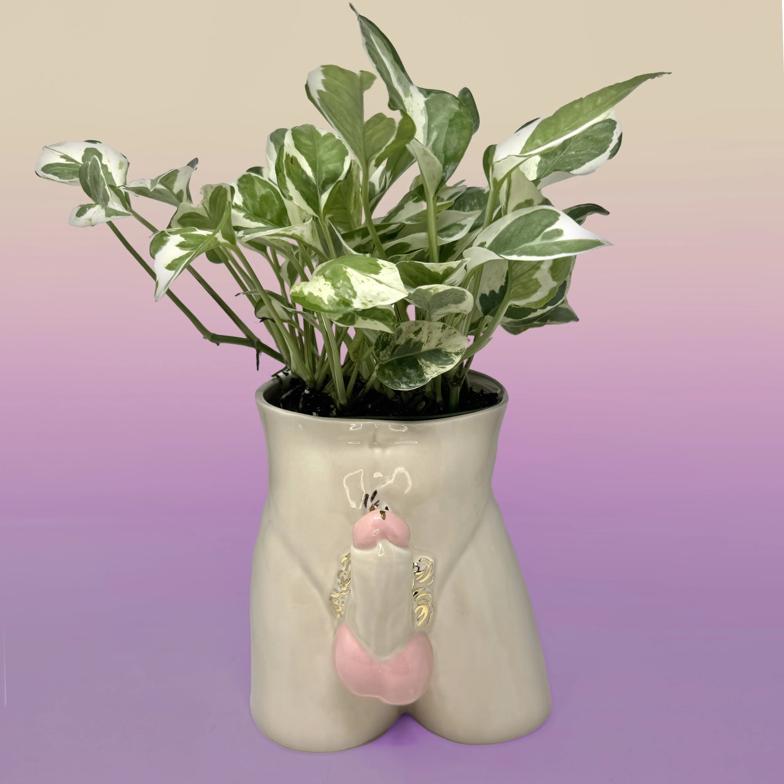 Boner Planters Flesh 1.jpg