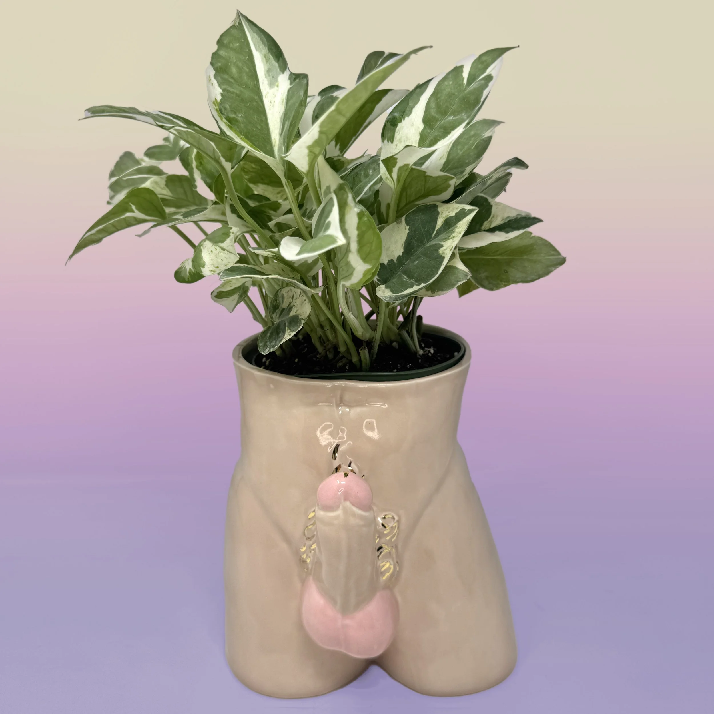 Boner Planters Flesh 2 copy.jpg
