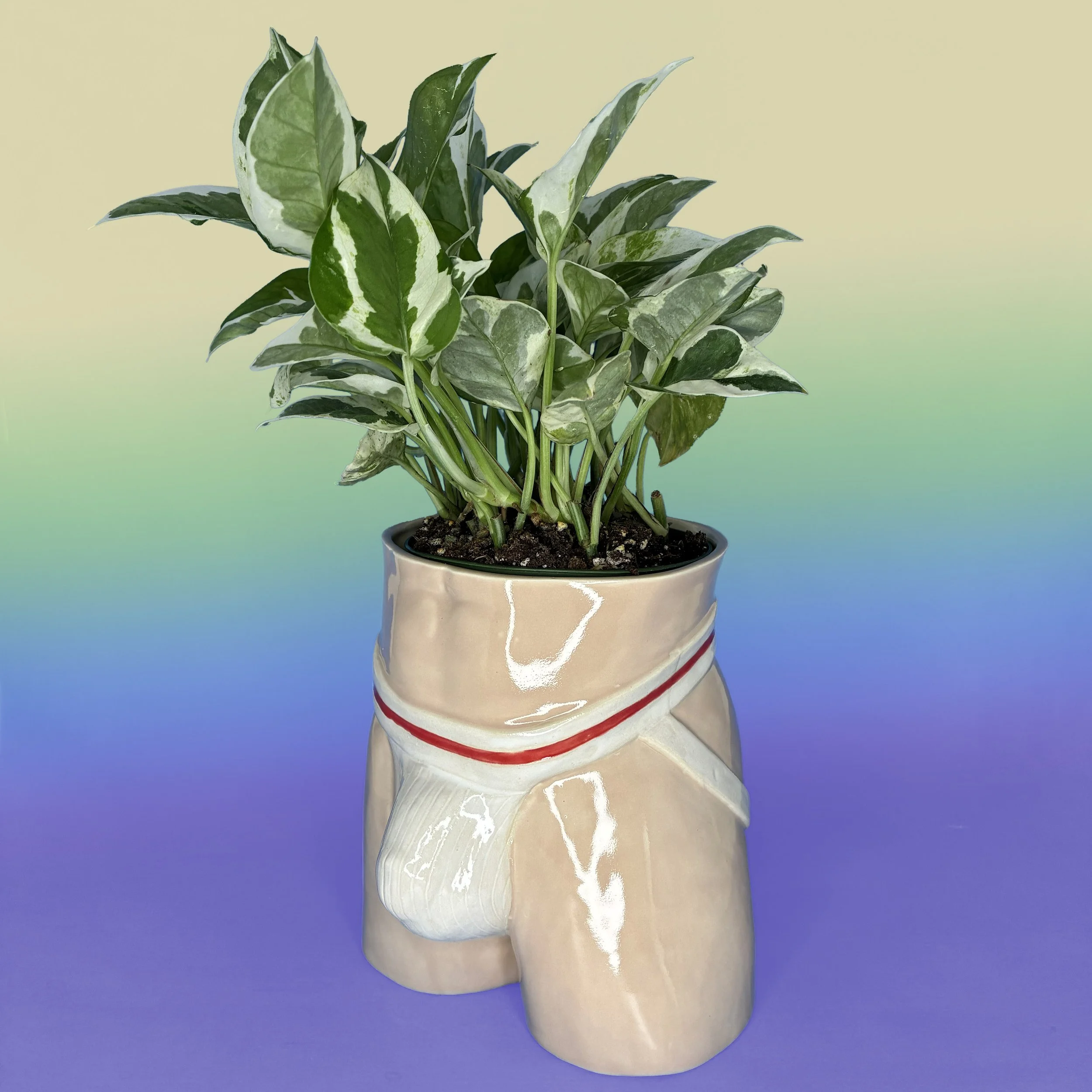 JockPlanter Darker 2 copy.jpg