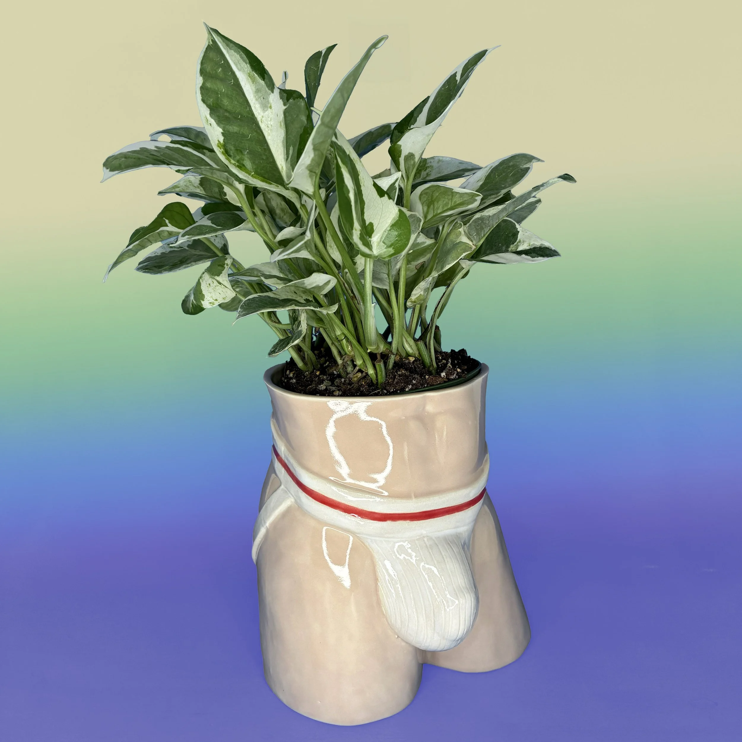 JockPlanter Darker 1 copy.jpg