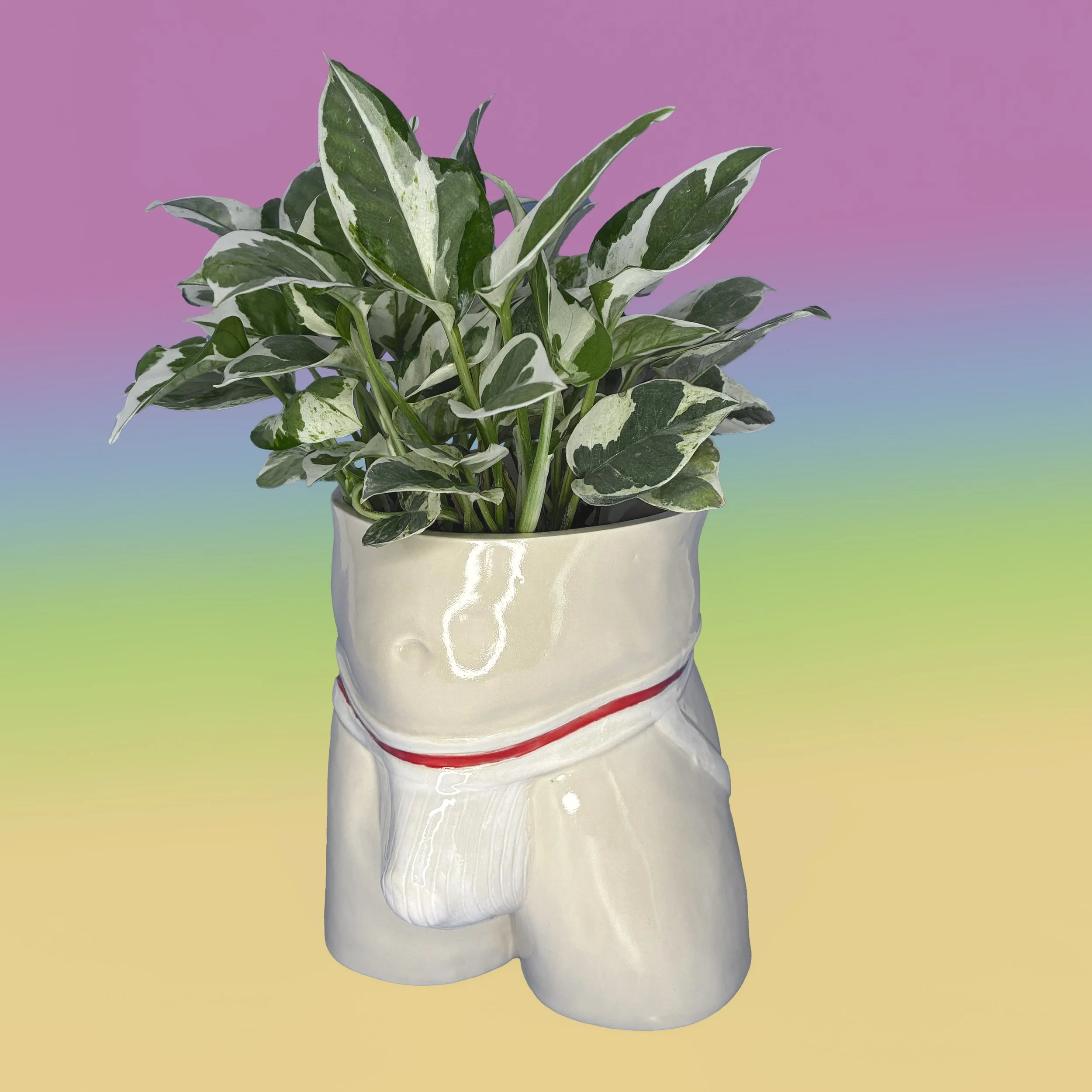 JockPlanter 2 copy.jpg