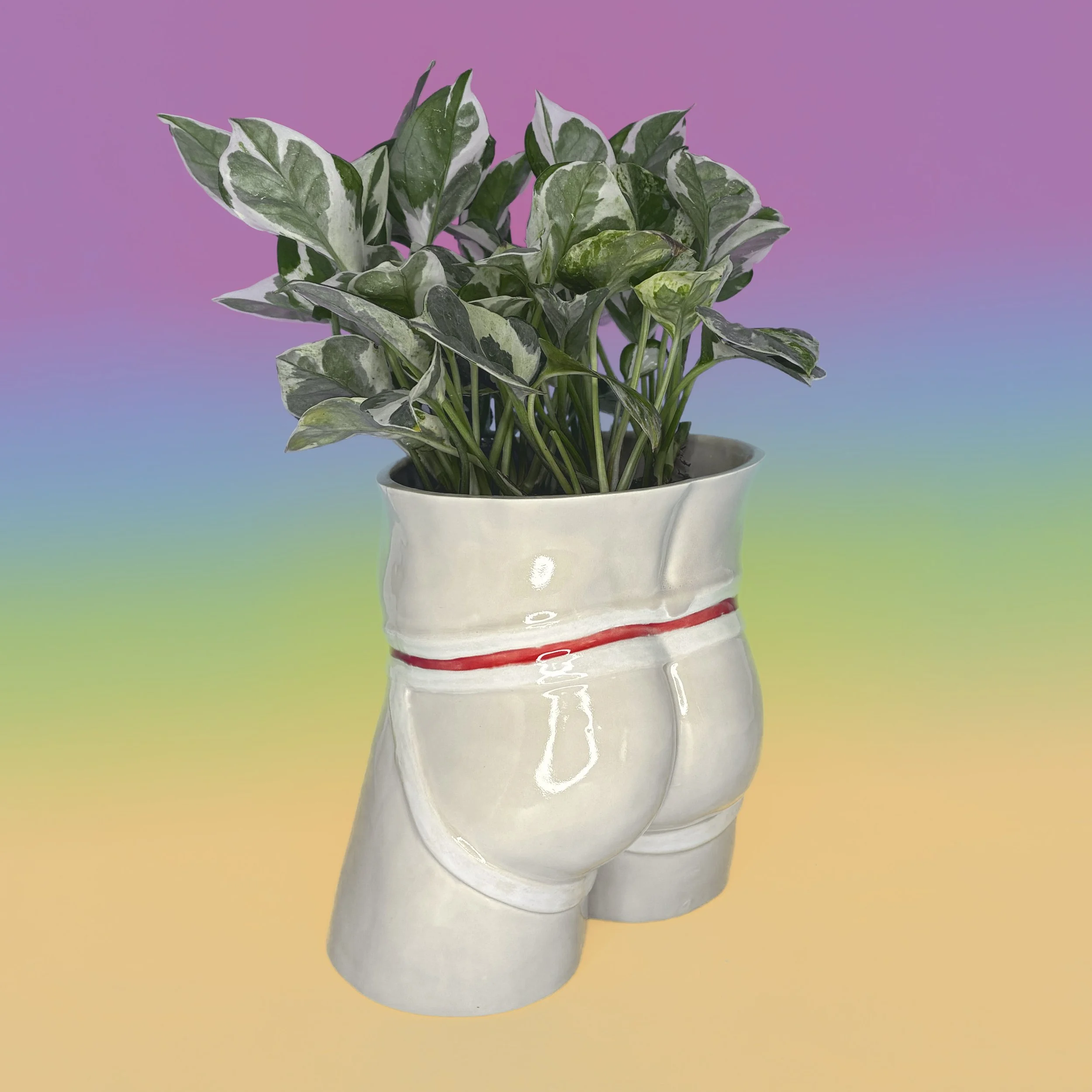 JockPlanter copy.jpg