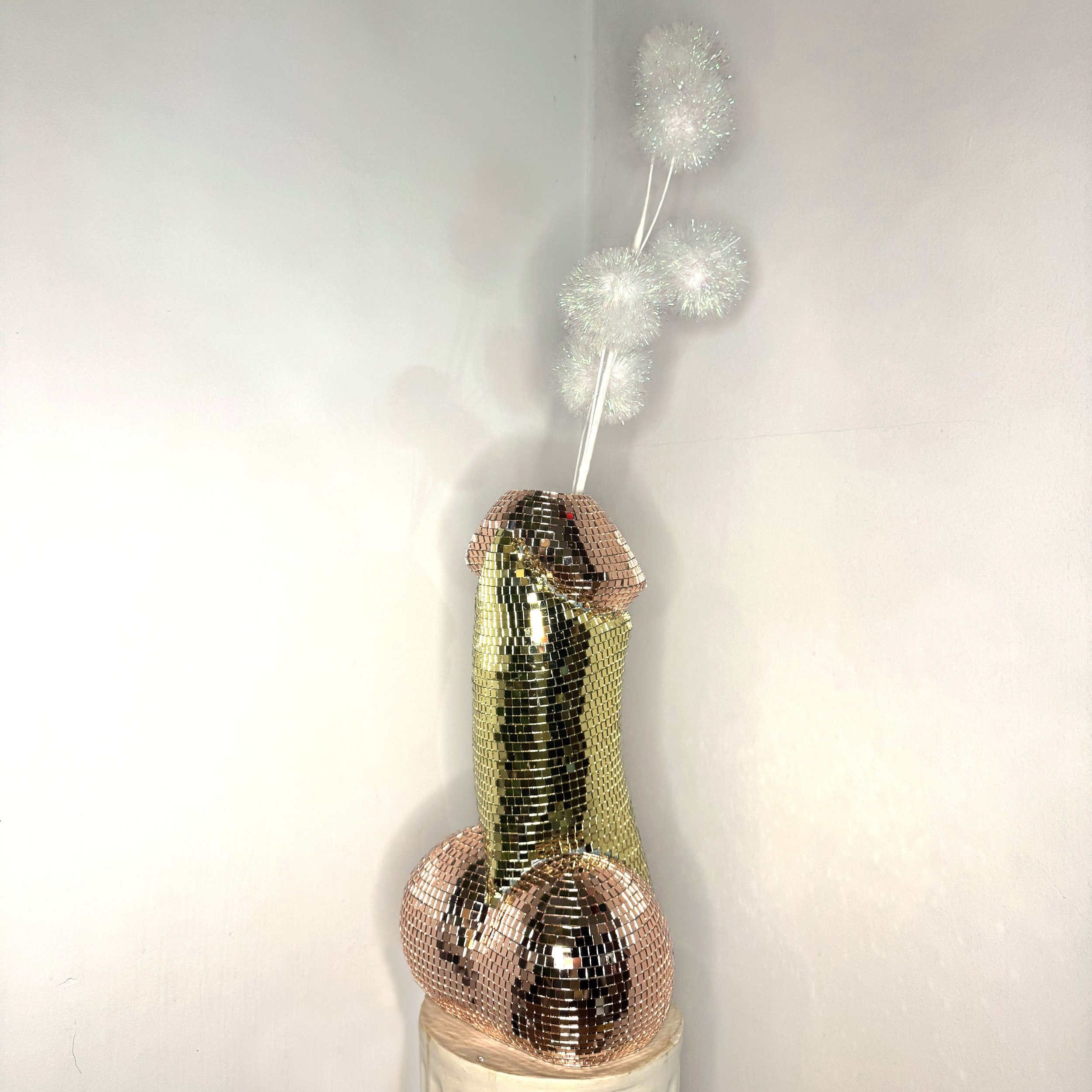 Disco Dick 2 2 copy.jpg