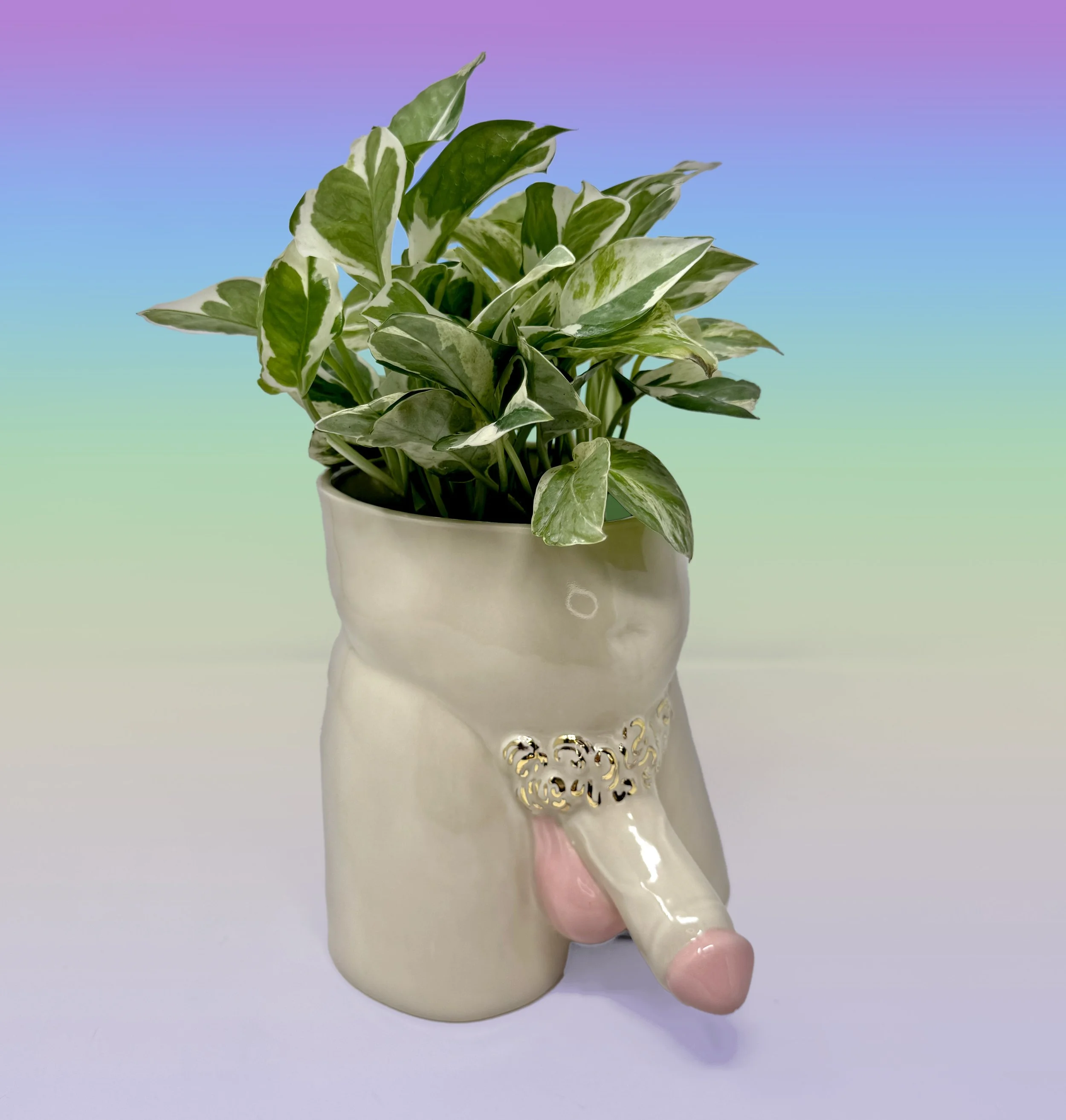 Boner Planters DickDown 1 copy.jpg