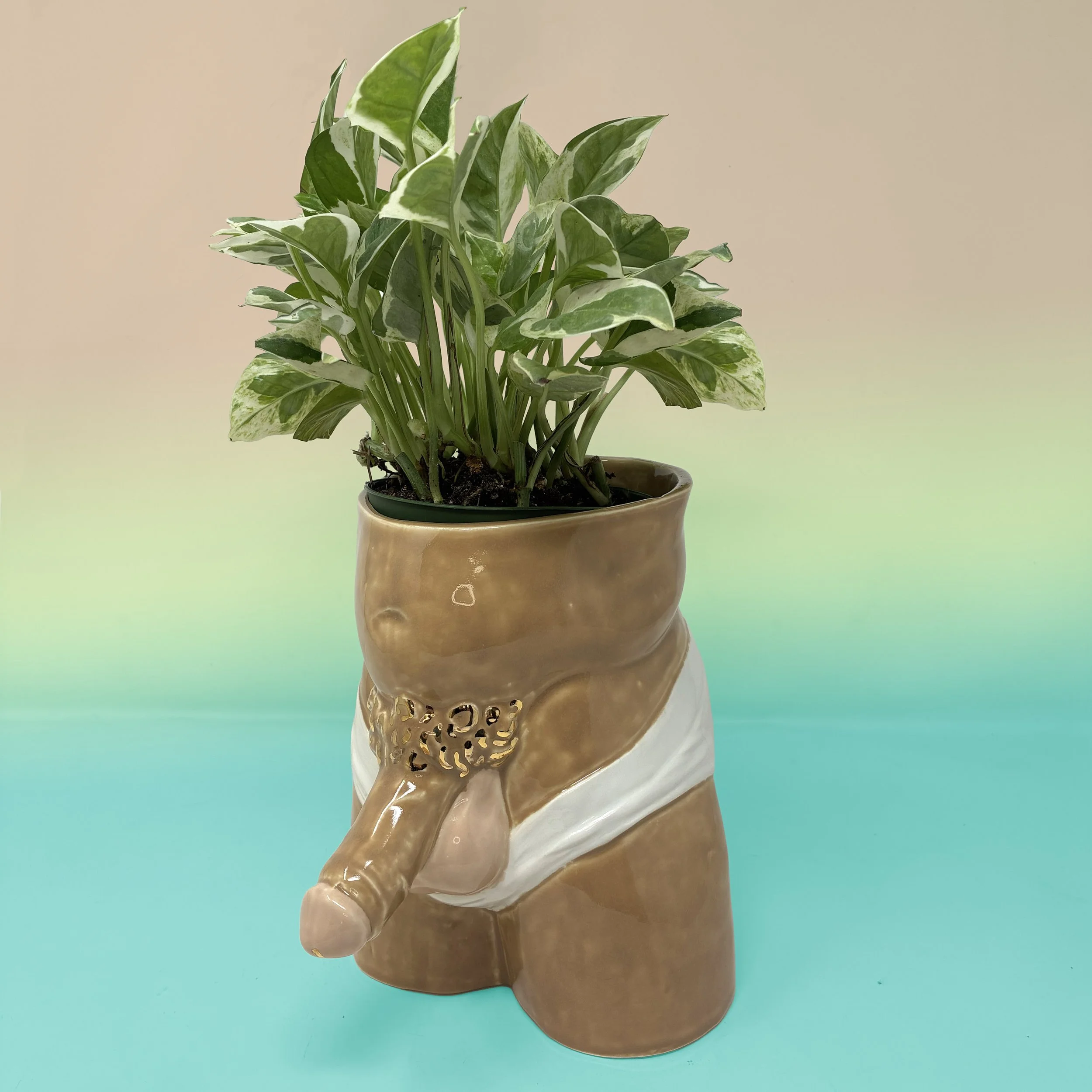 Balls Out Underwear All Darkest copy.jpg