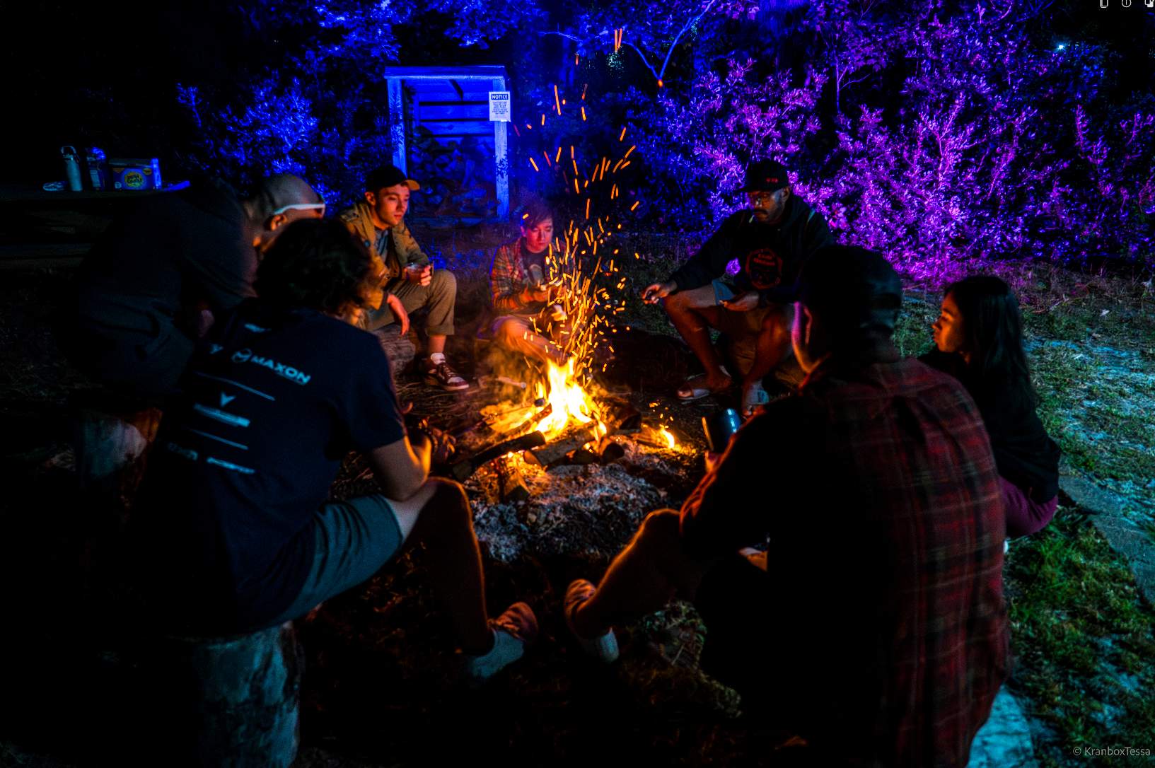 Screenshot 2026-02-21 123429.png