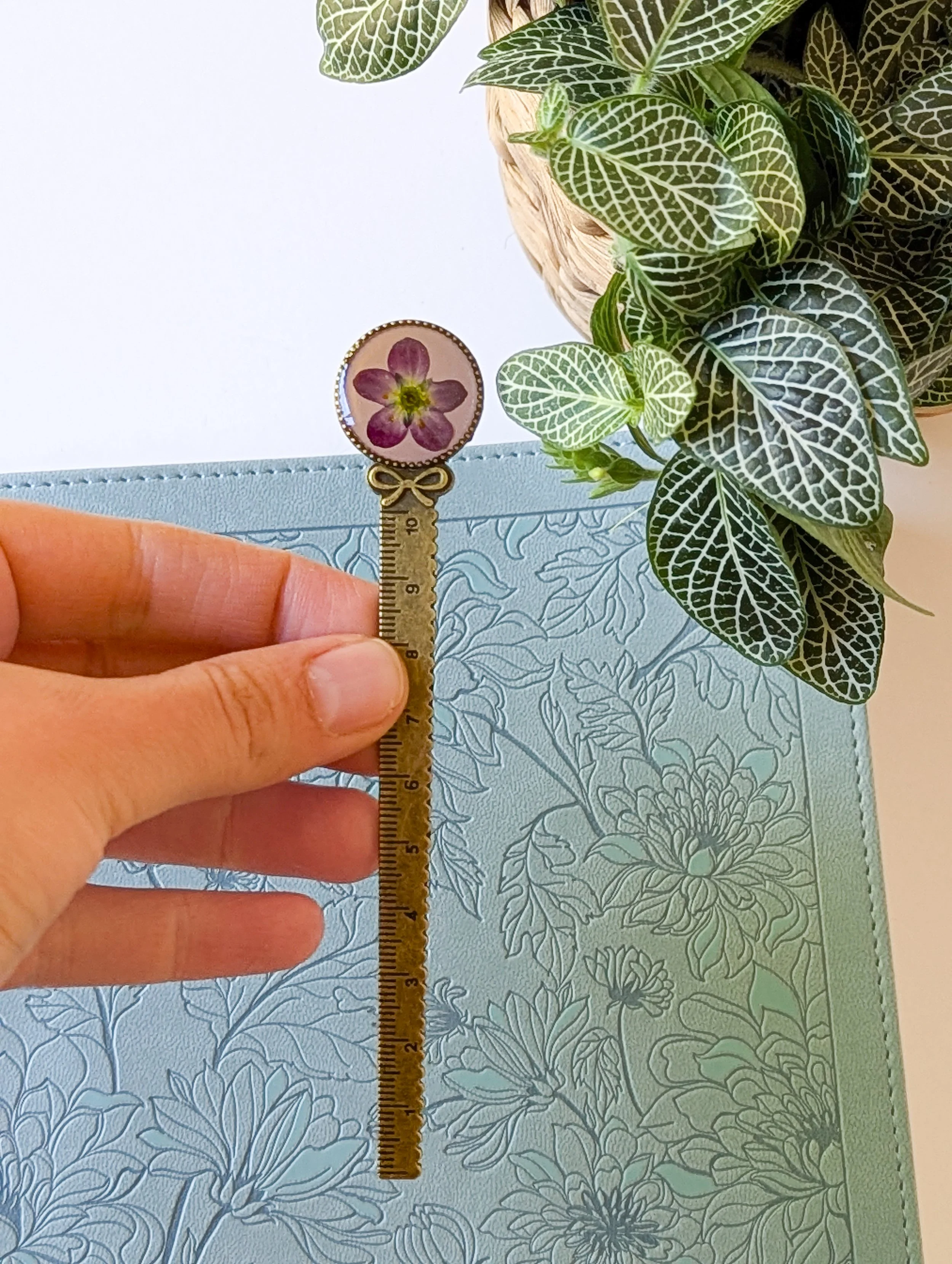 Saxifraga Bookmark- Pink