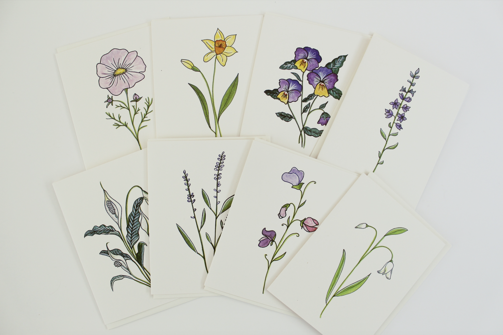 Botanical Card Collection (8 Cards)