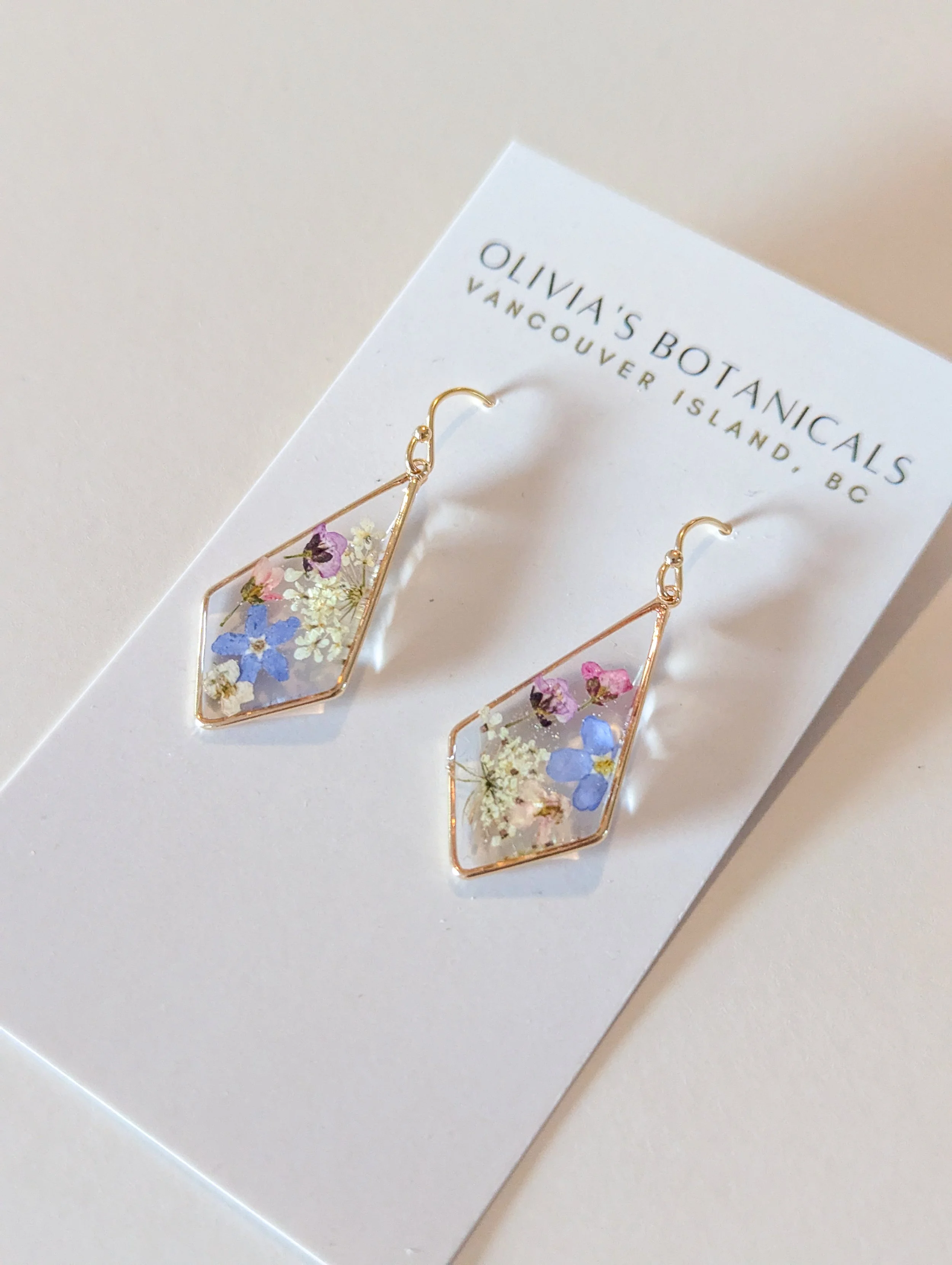 Forget me not, Queen Anne, Alyssum