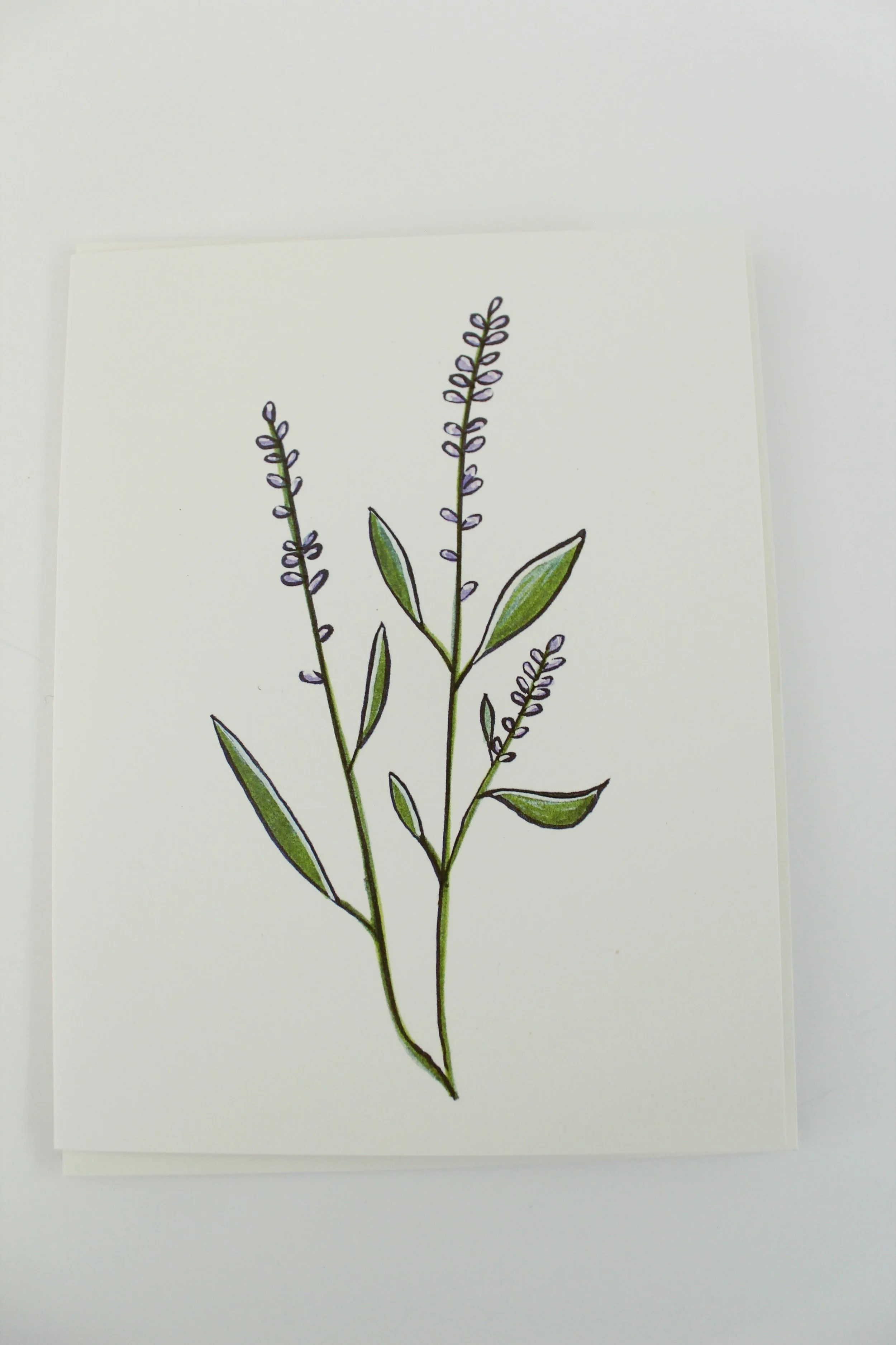 Lavender Card