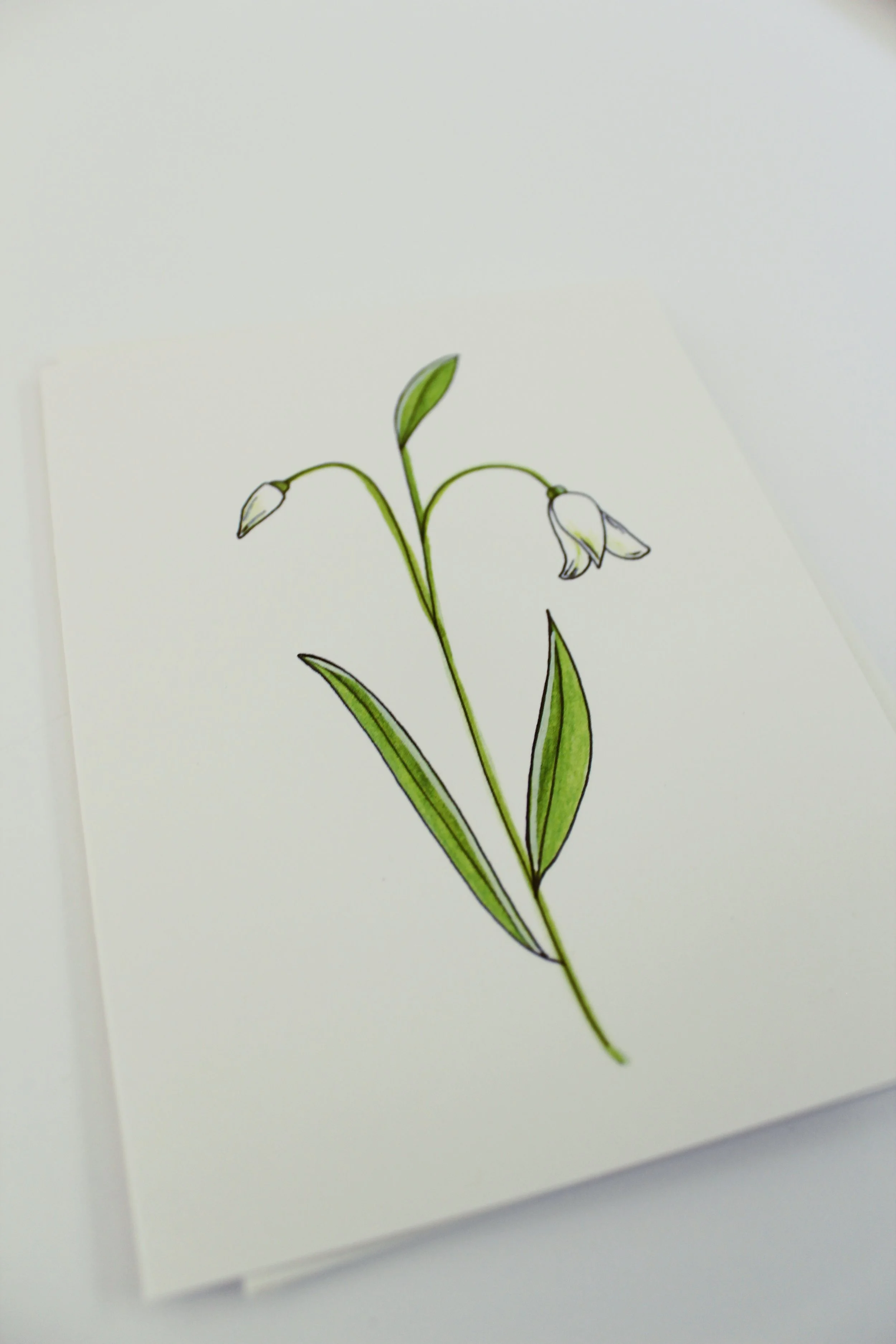 Snow Drop Card